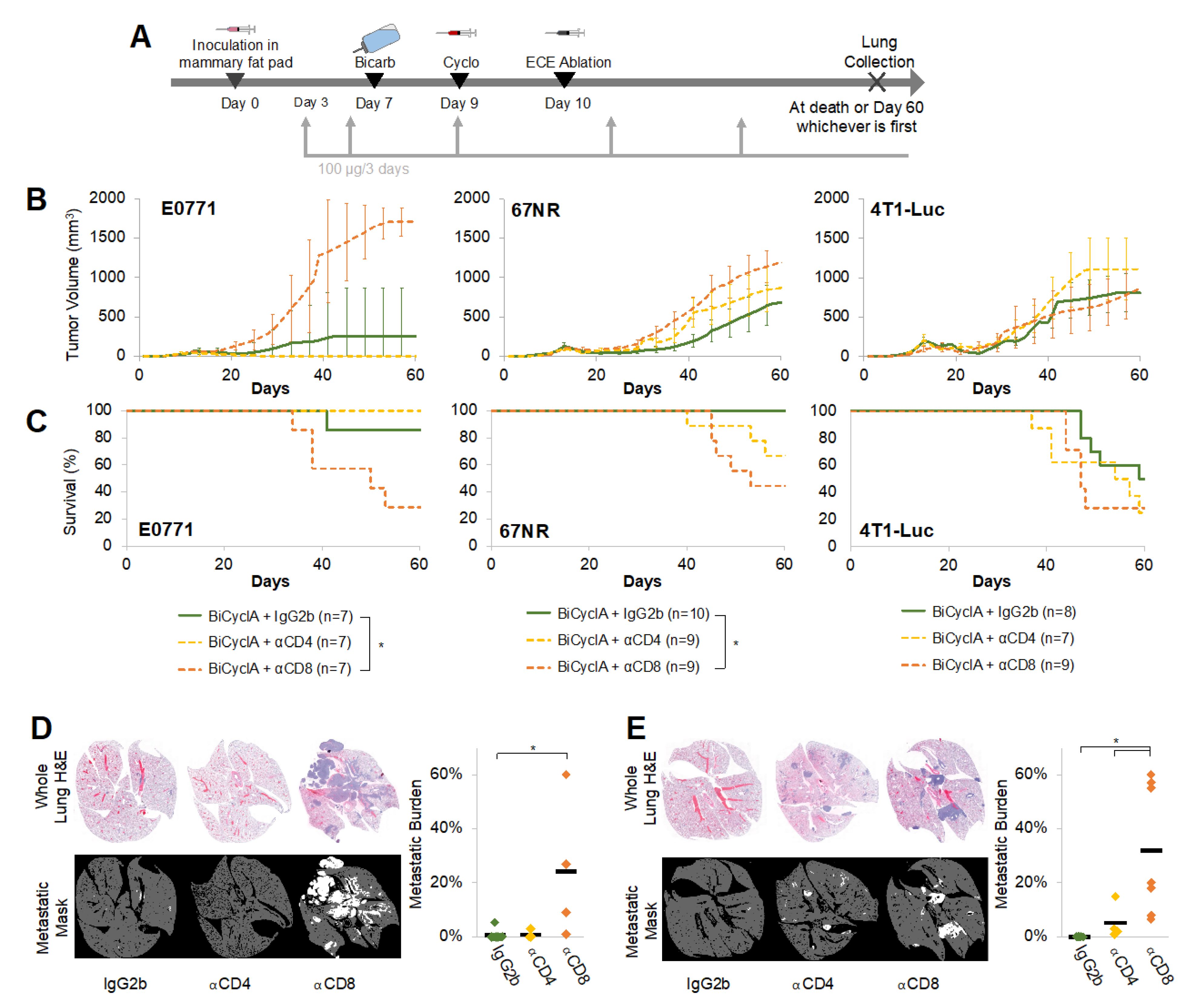 Ijms 23 08479 g003 550