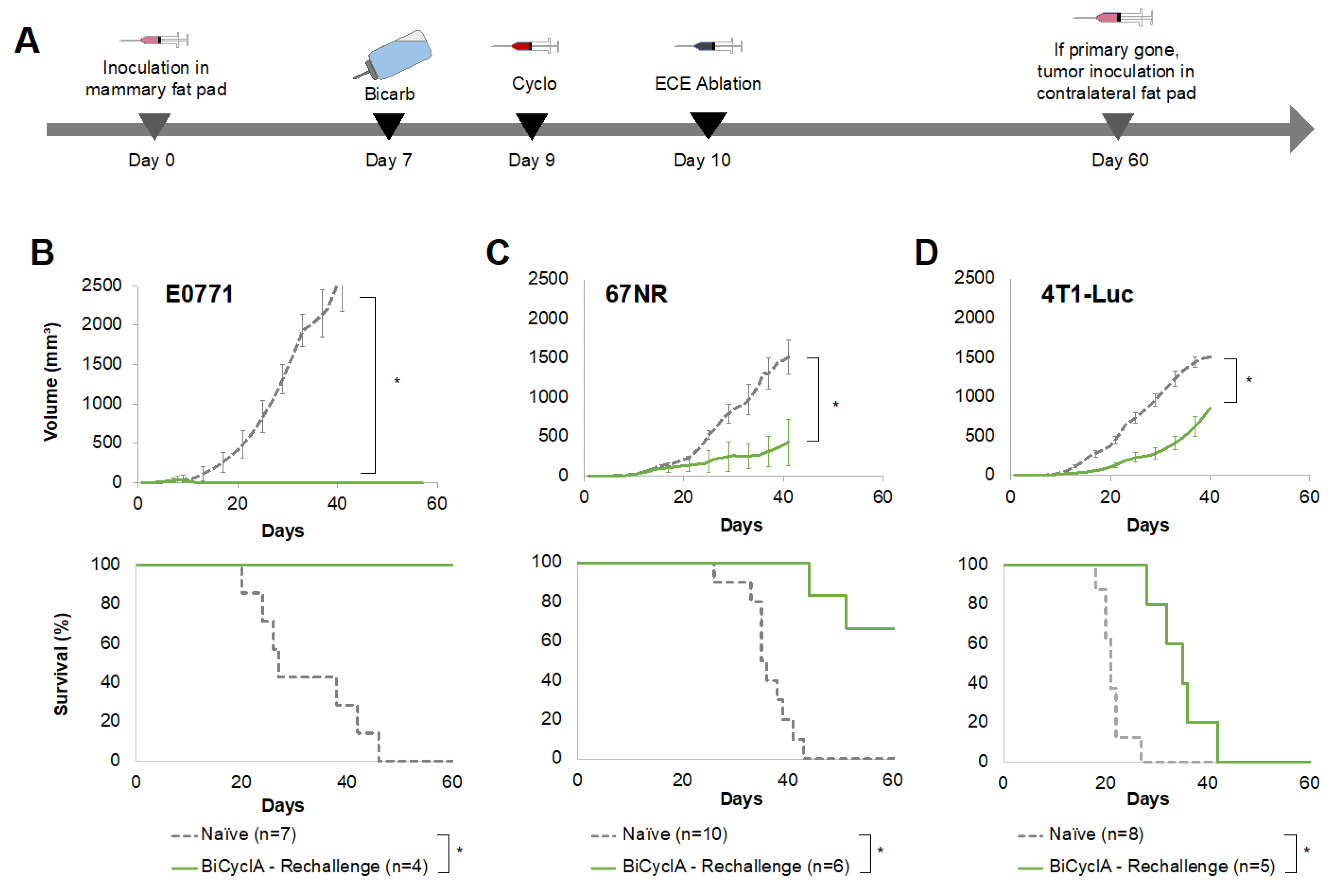 Ijms 23 08479 g004 550