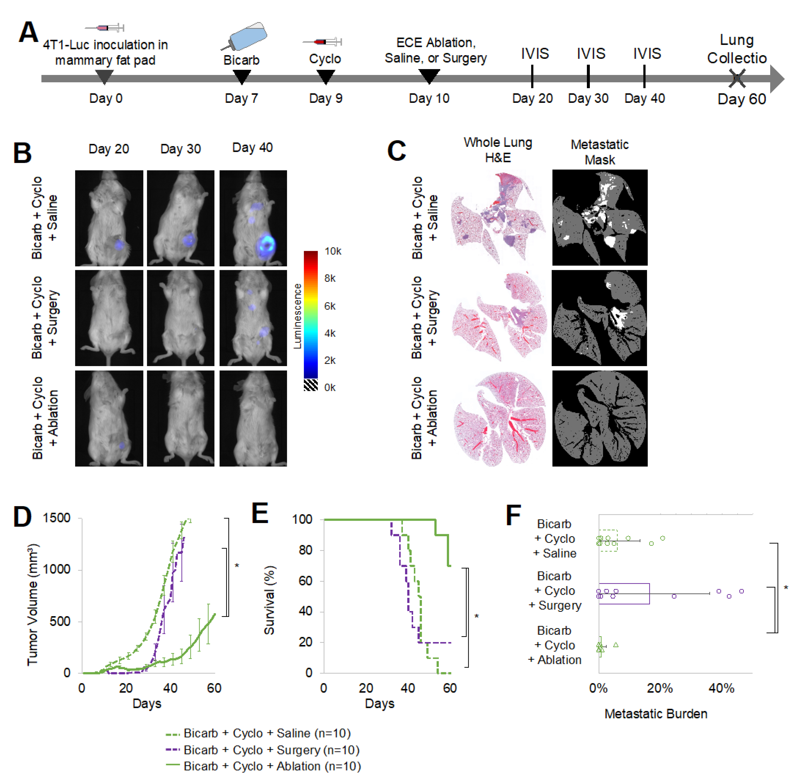 Ijms 23 08479 g005 550
