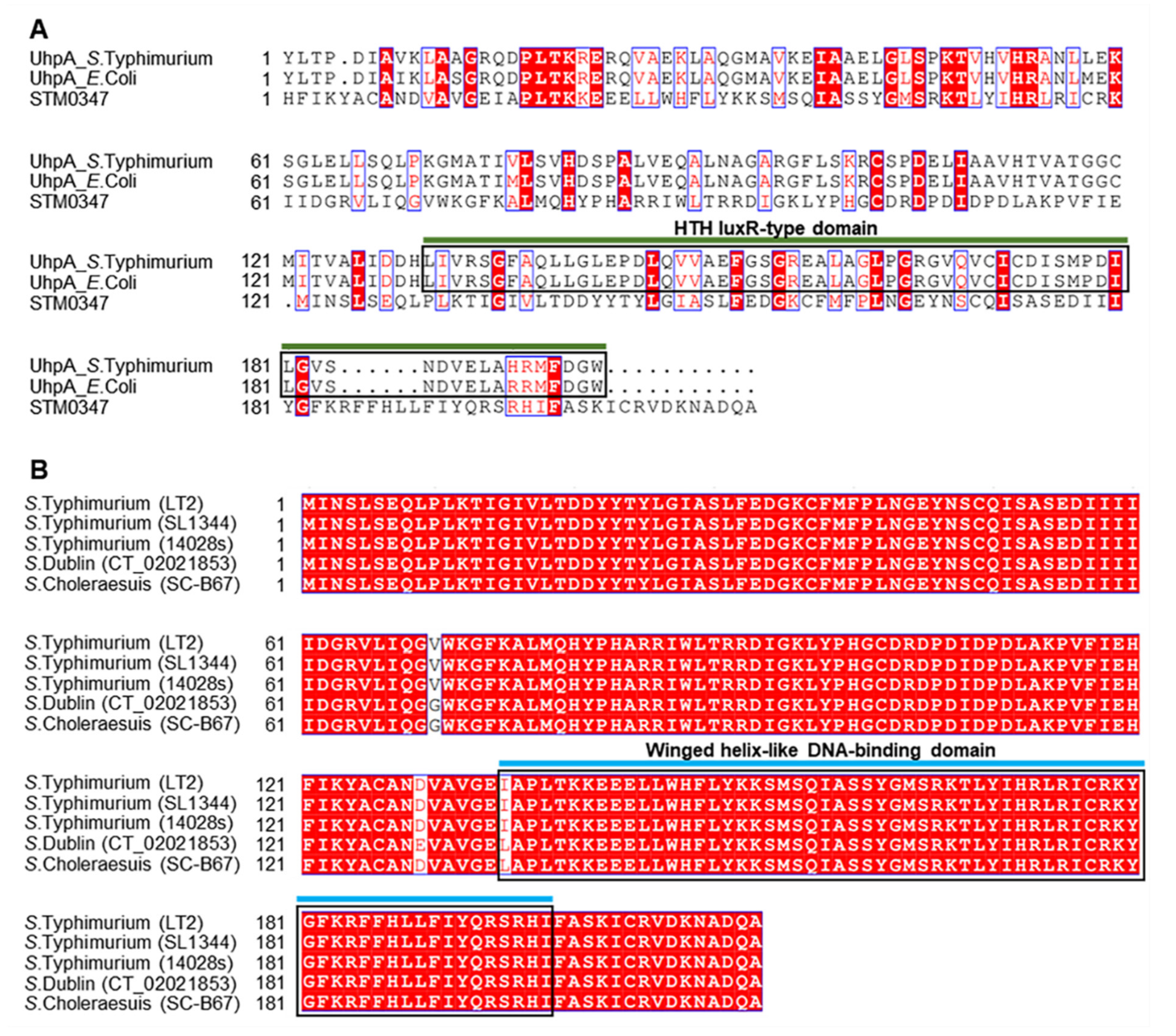 Ijms 23 08481 g001 Ijms 23 08481 g001