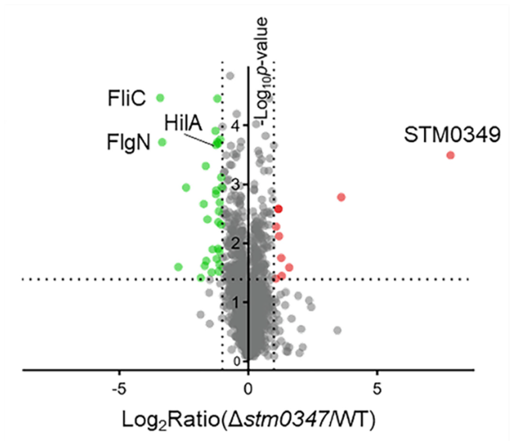 Ijms 23 08481 g002 Ijms 23 08481 g002