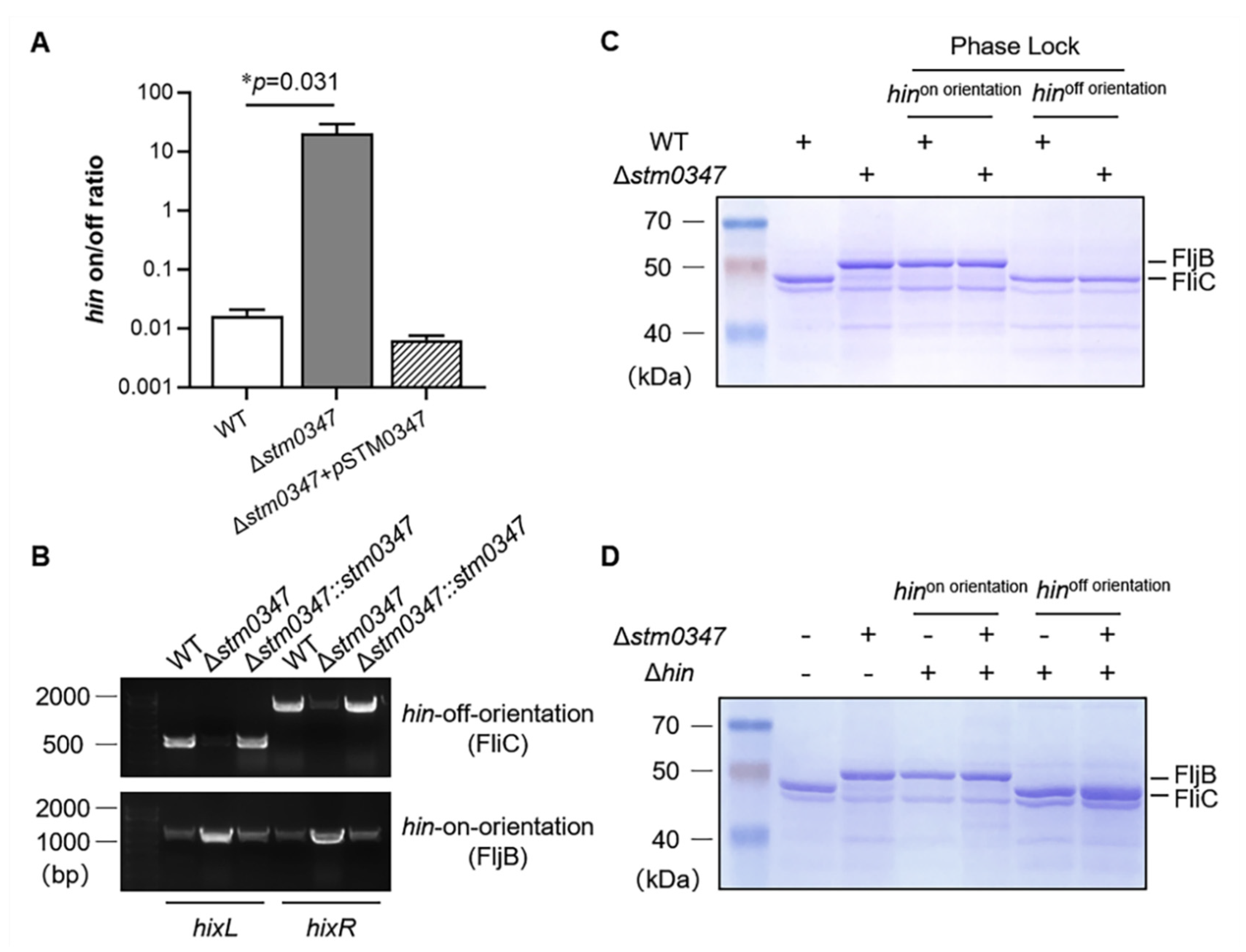 Ijms 23 08481 g005 Ijms 23 08481 g005