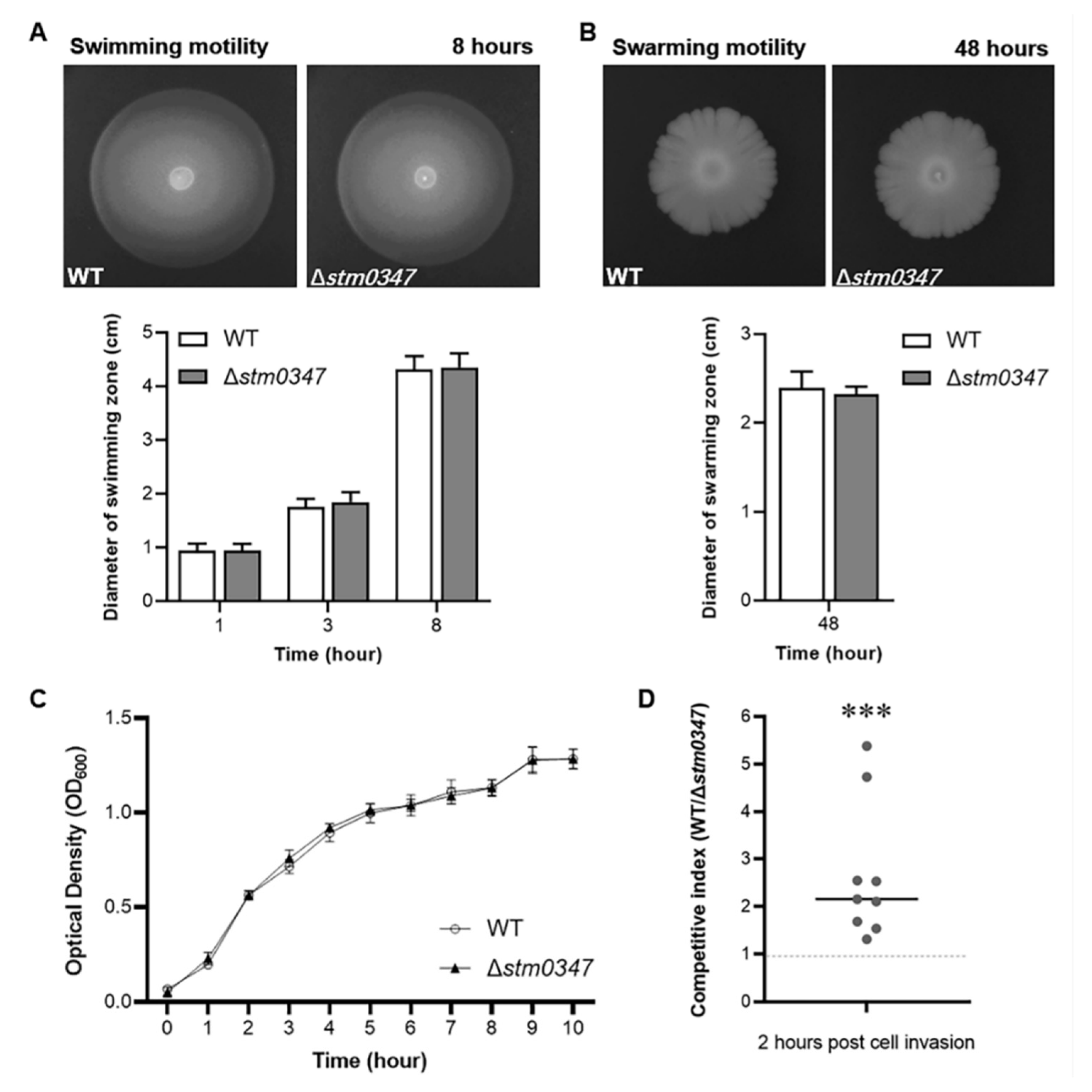 Ijms 23 08481 g007 Ijms 23 08481 g007