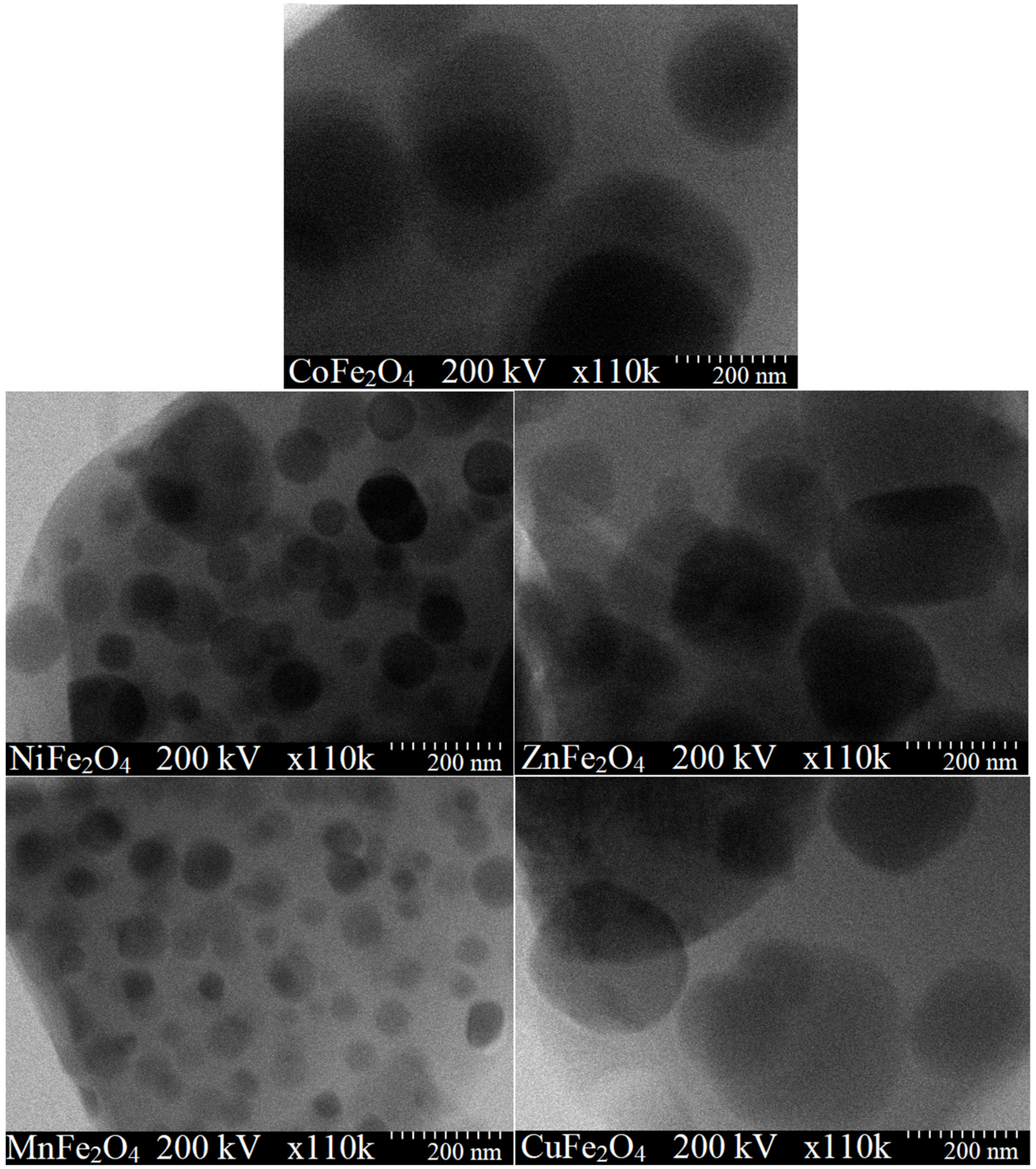 Ijms 23 08483 g003 550