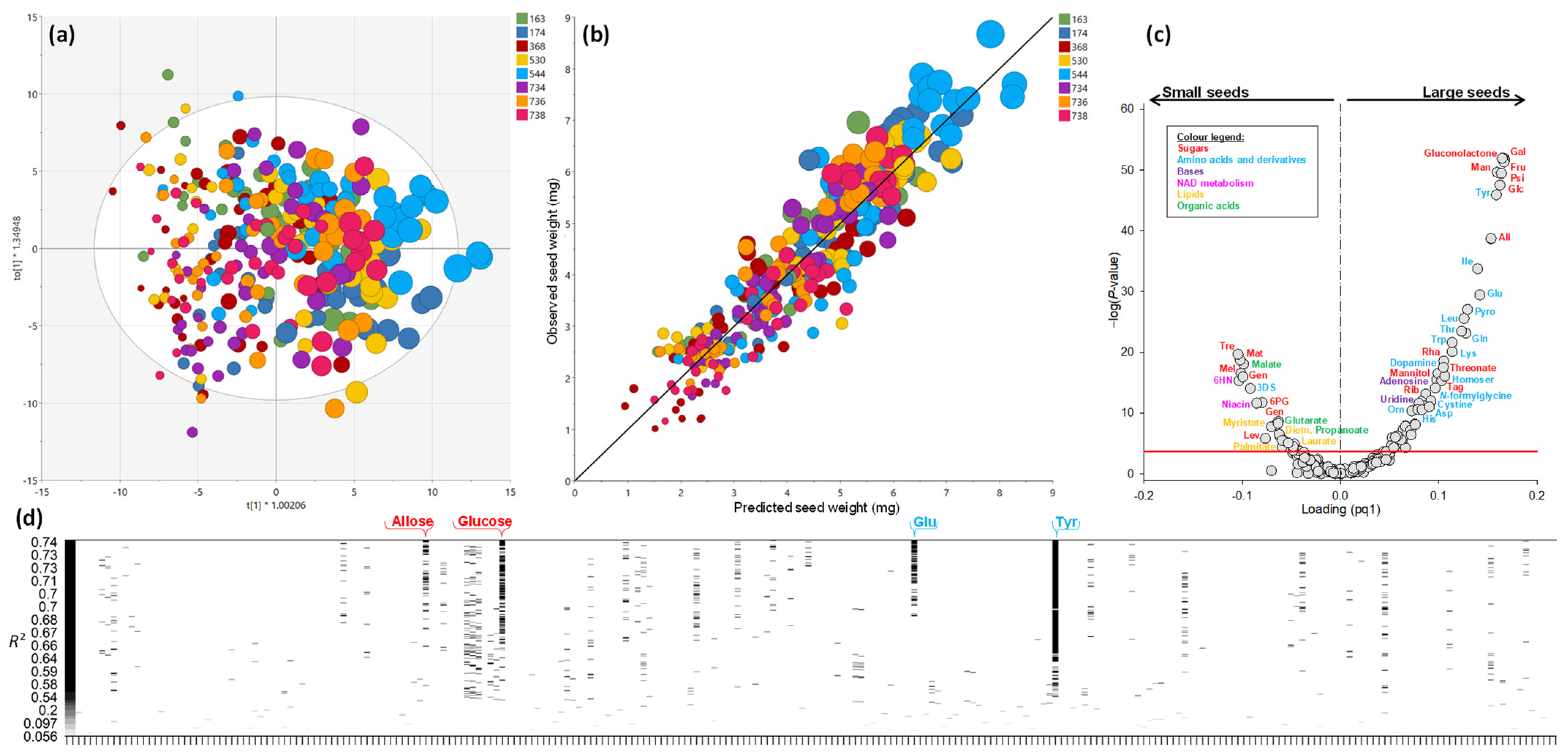 Ijms 23 08484 g003 Ijms 23 08484 g003