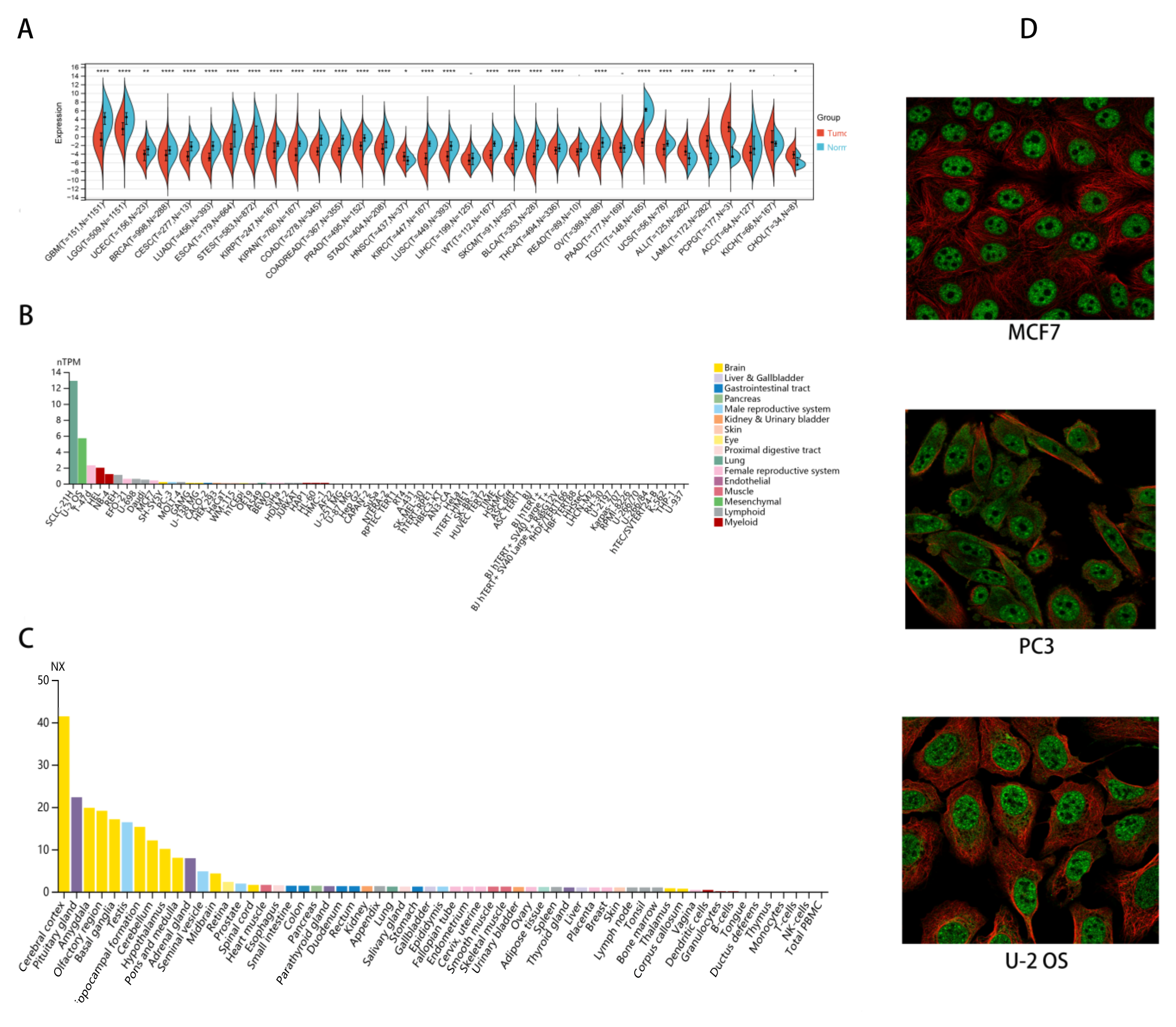 Ijms 23 08489 g001 Ijms 23 08489 g001
