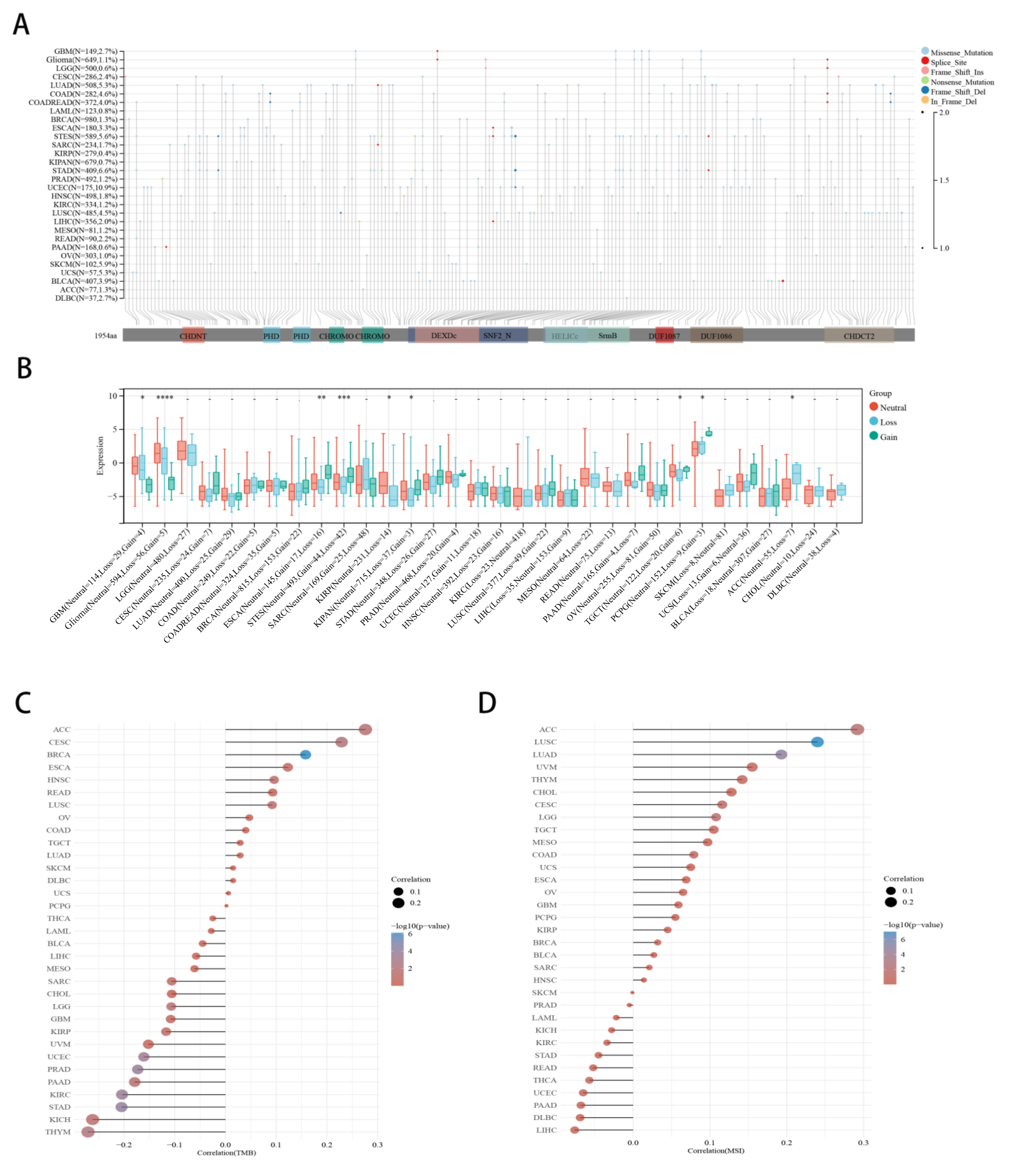 Ijms 23 08489 g004 Ijms 23 08489 g004