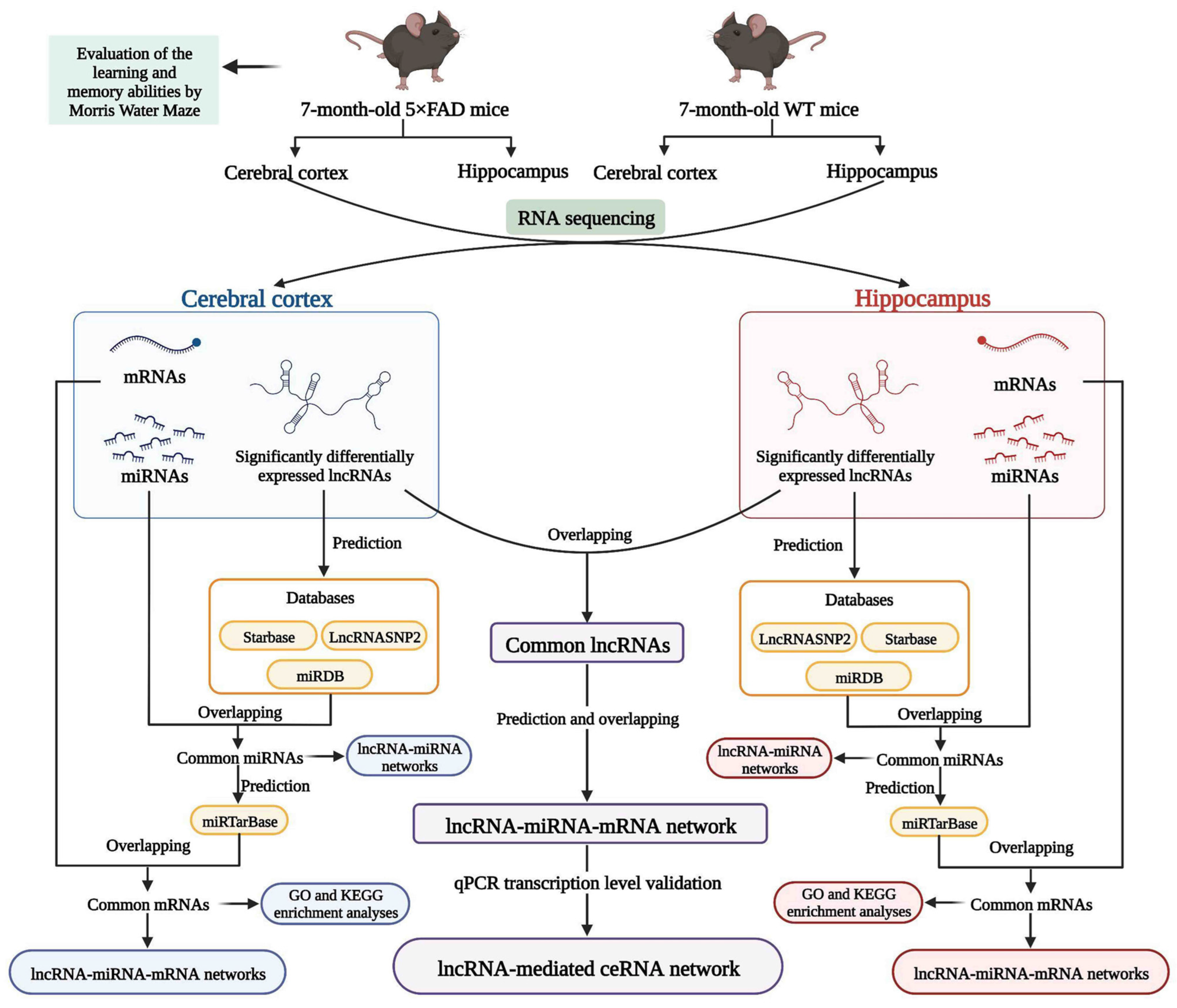 Ijms 23 08497 g001 550