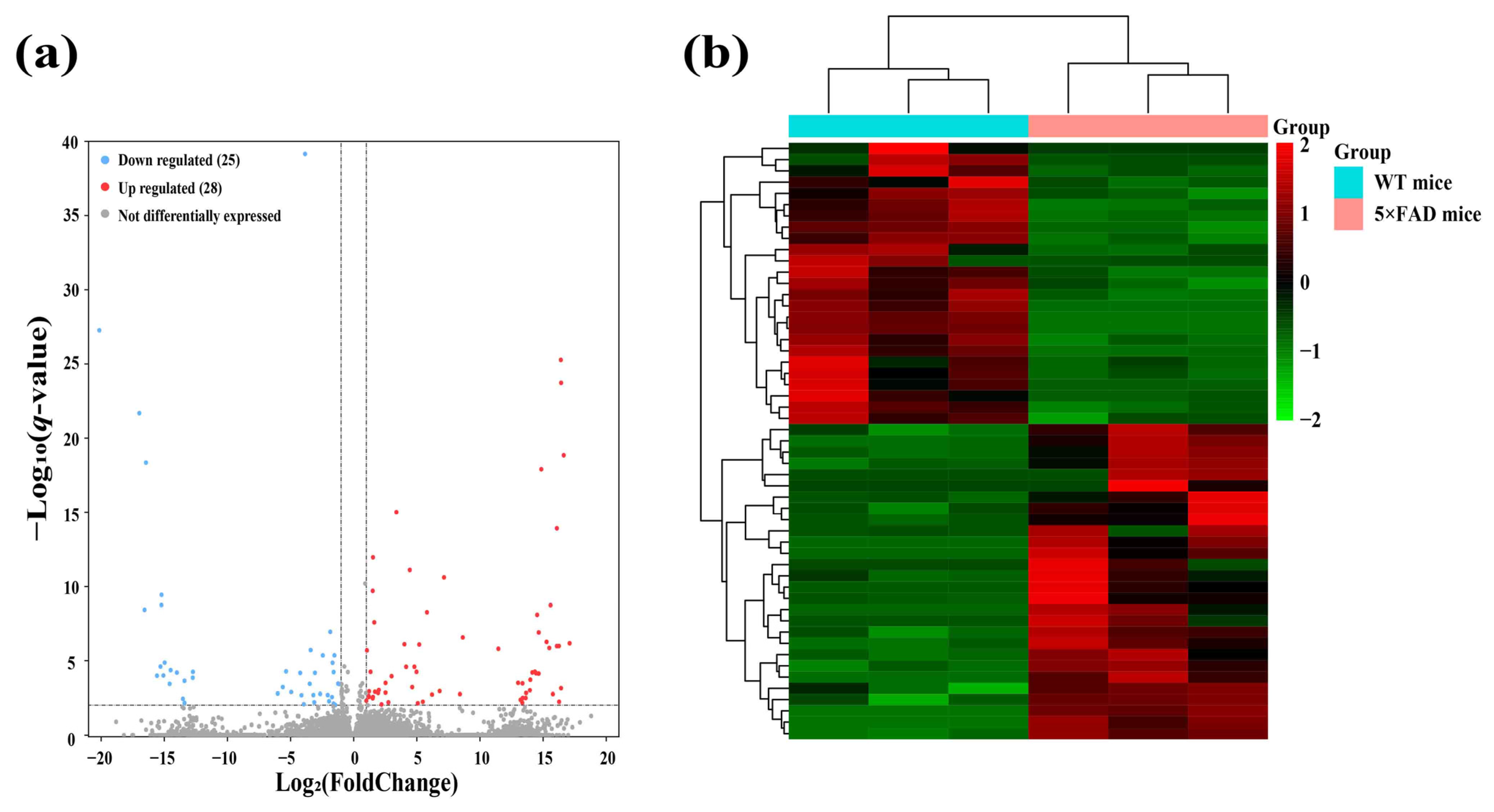 Ijms 23 08497 g003a 550
