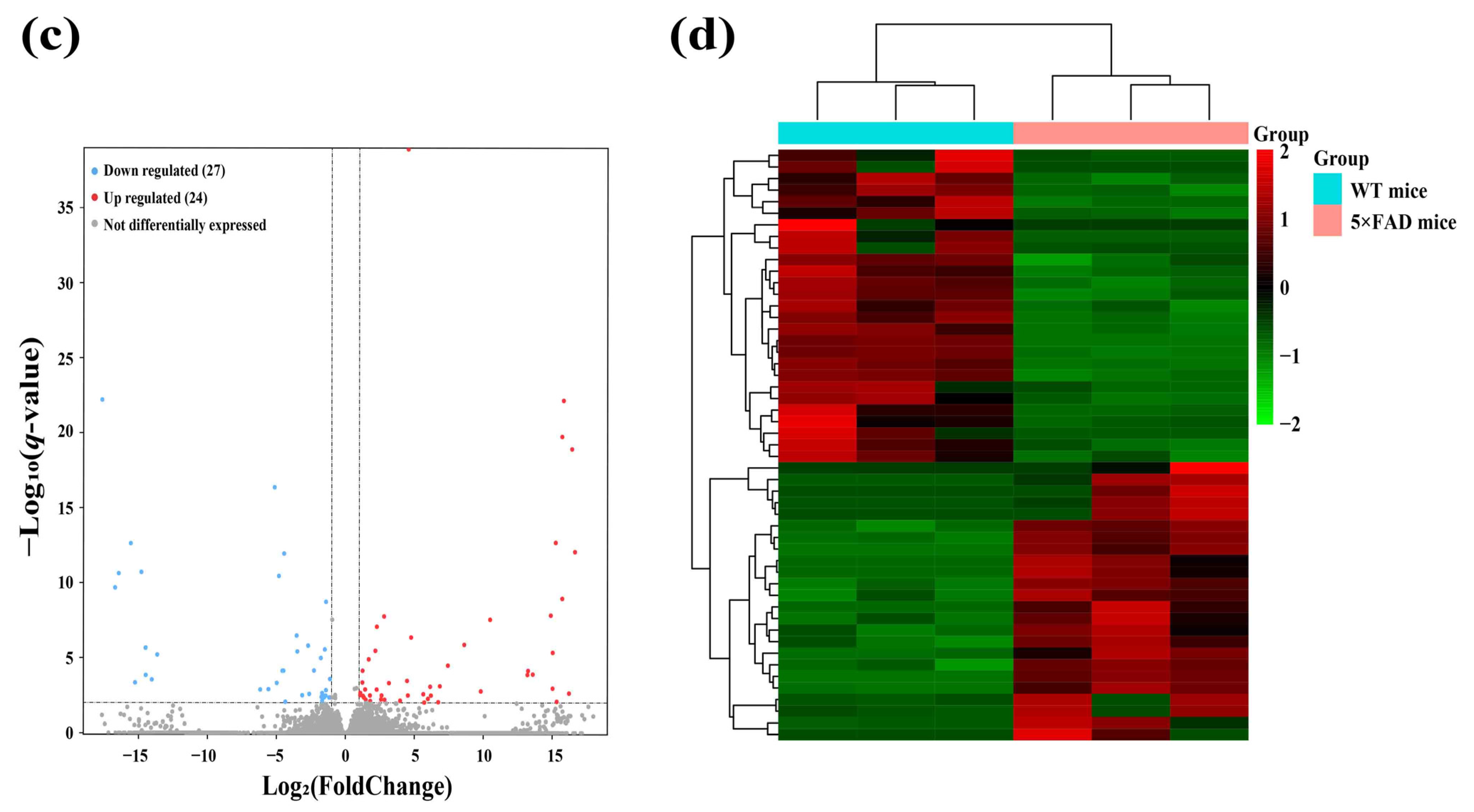 Ijms 23 08497 g003b 550