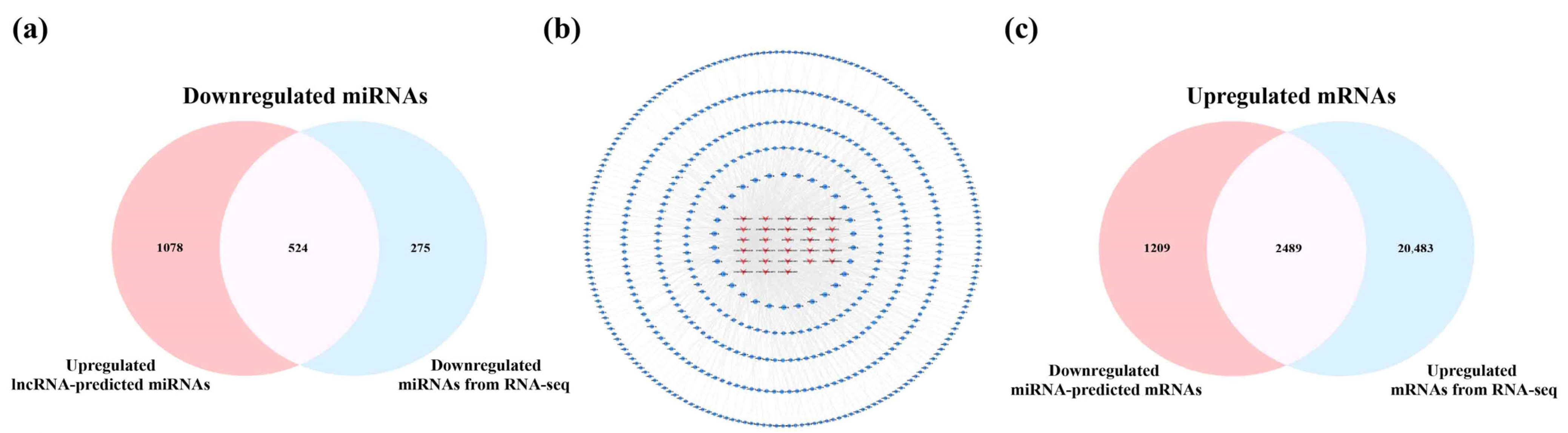 Ijms 23 08497 g005a 550