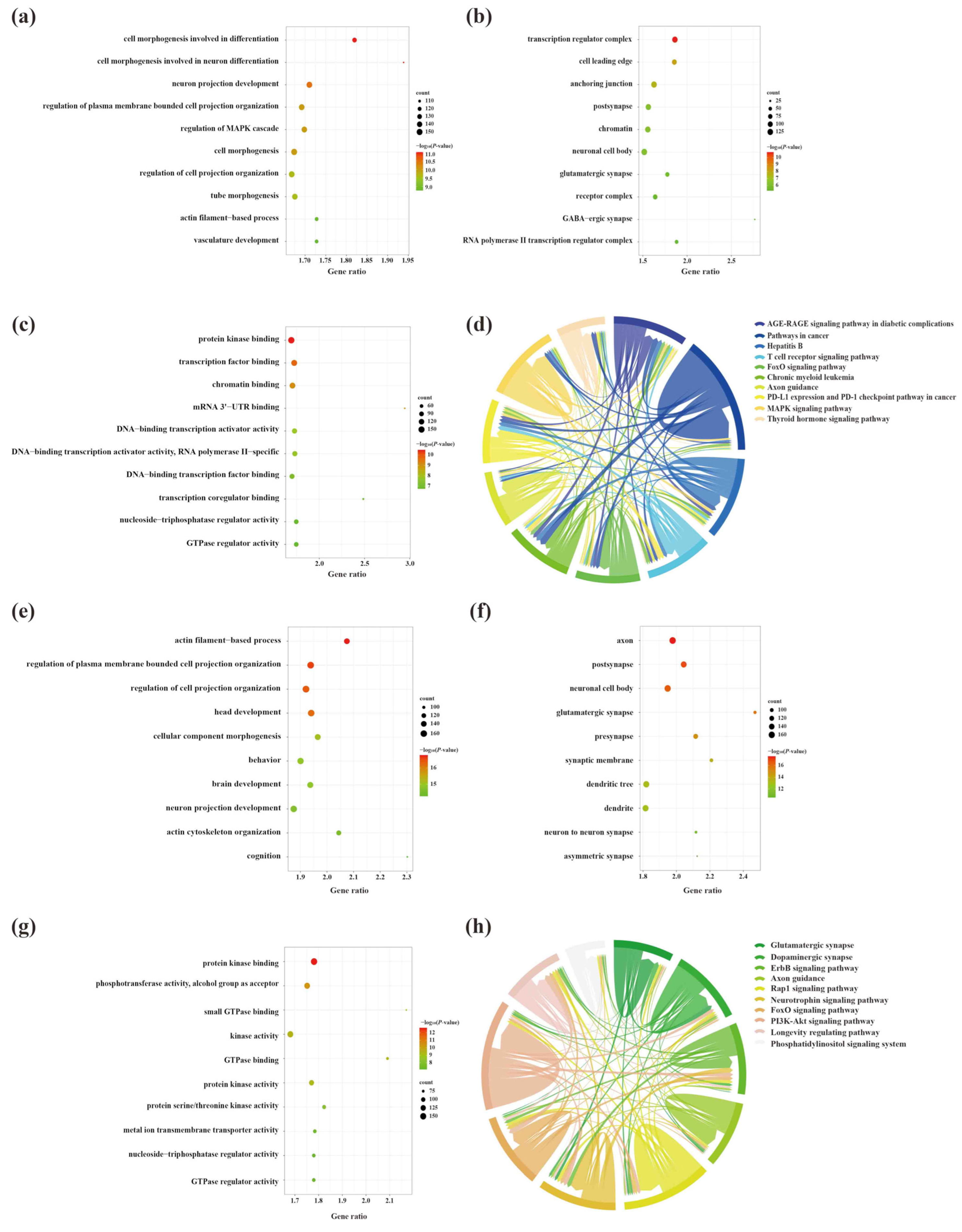 Ijms 23 08497 g006 550