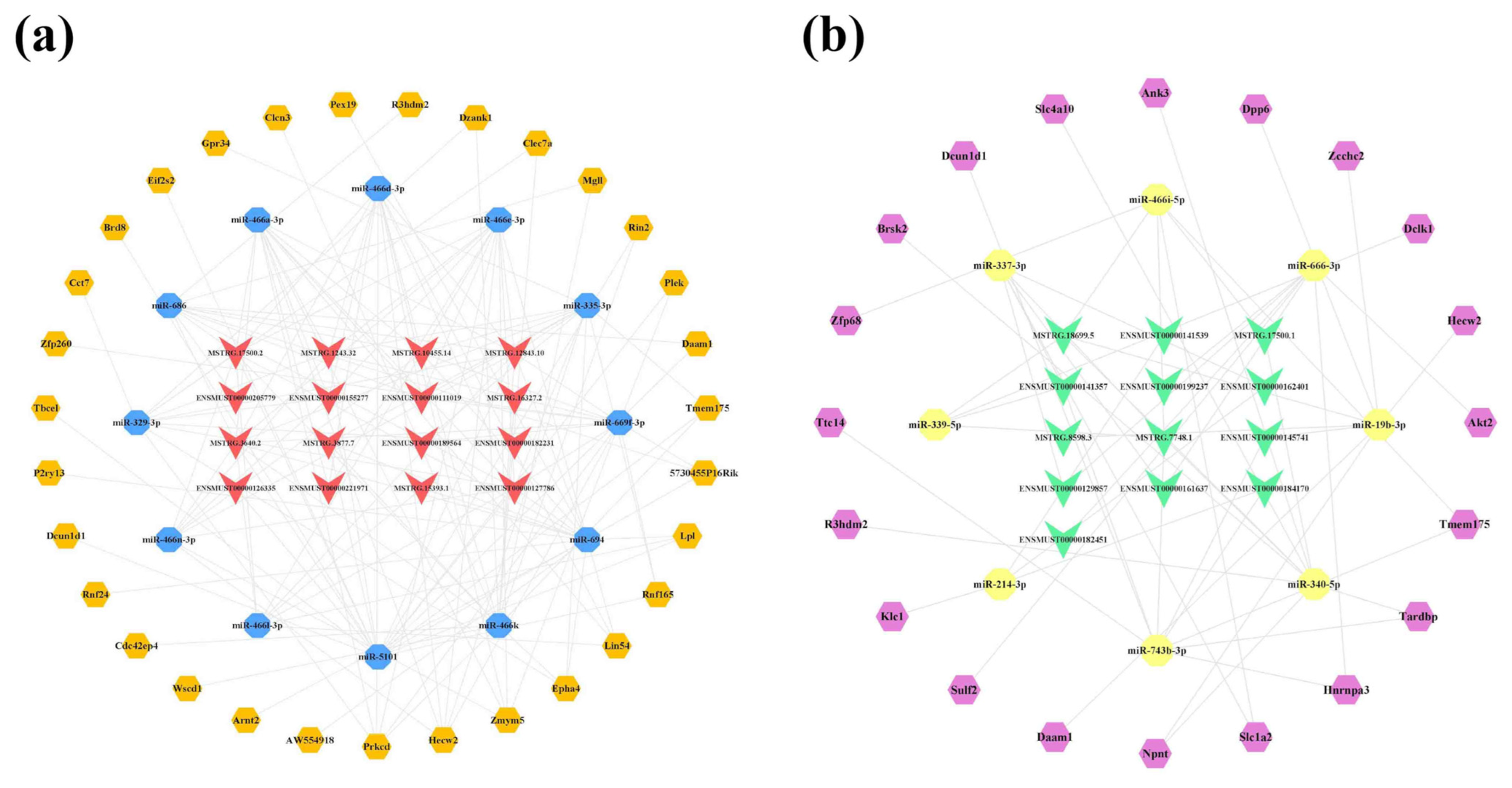 Ijms 23 08497 g007 550