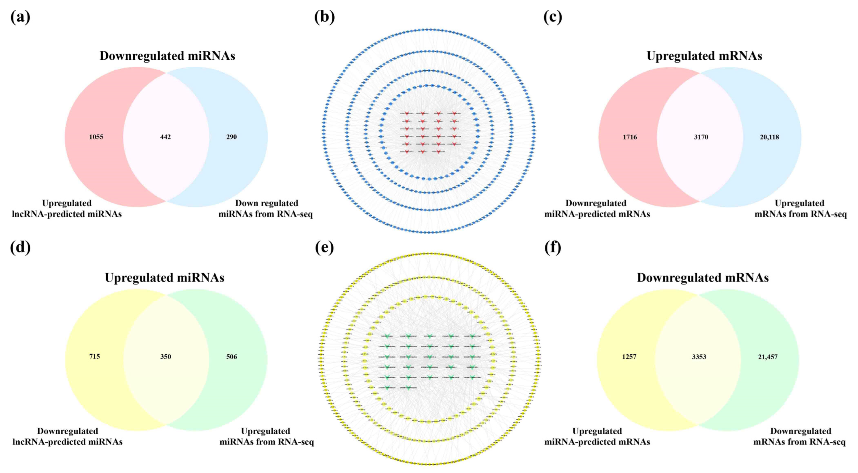 Ijms 23 08497 g008 550
