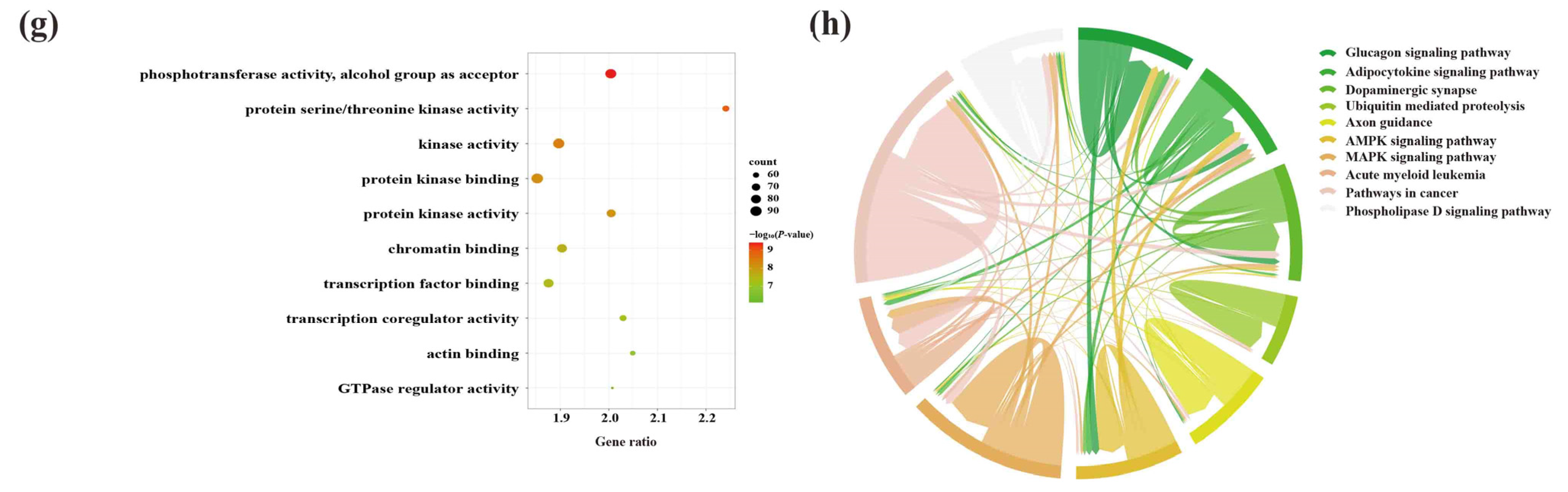 Ijms 23 08497 g009b 550