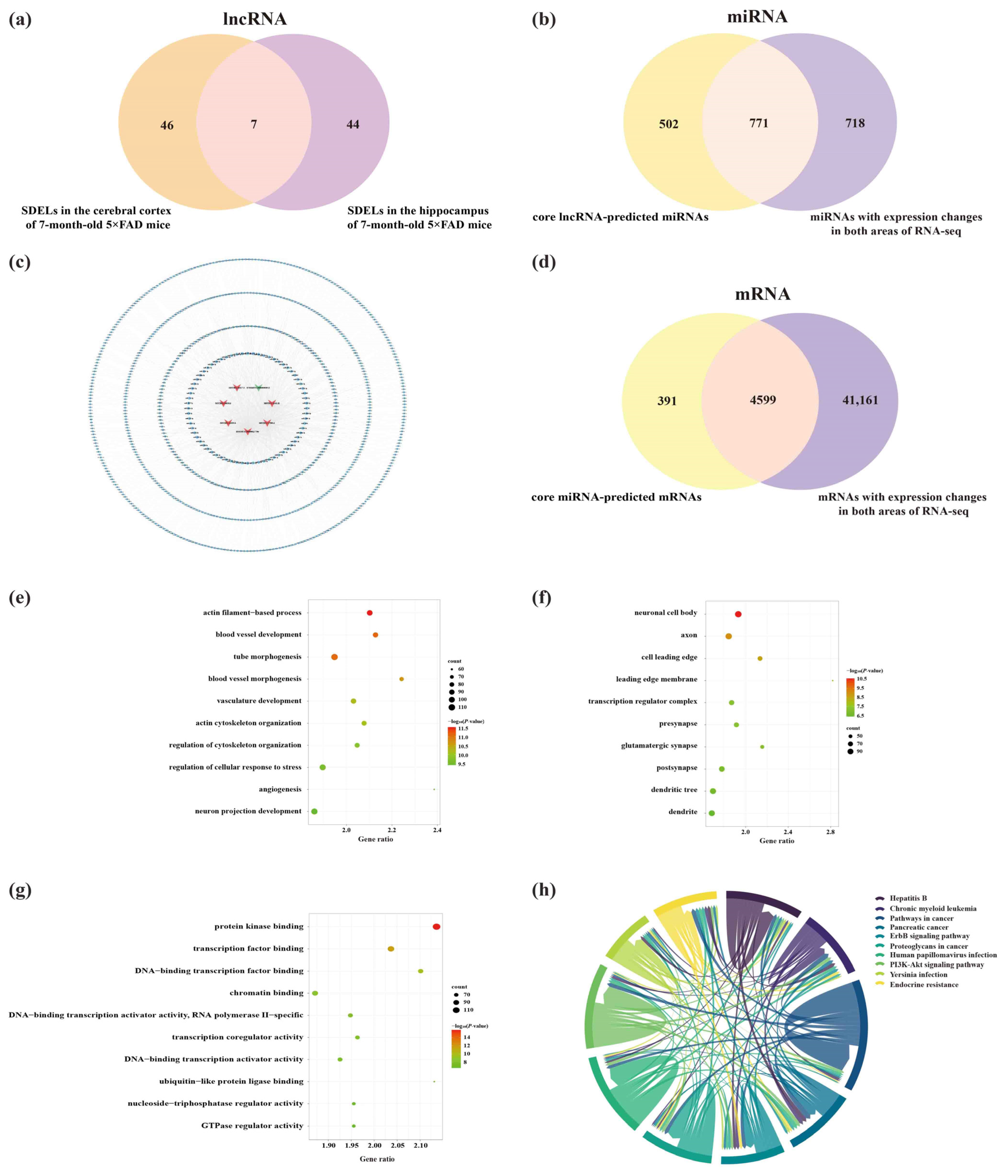 Ijms 23 08497 g011 550