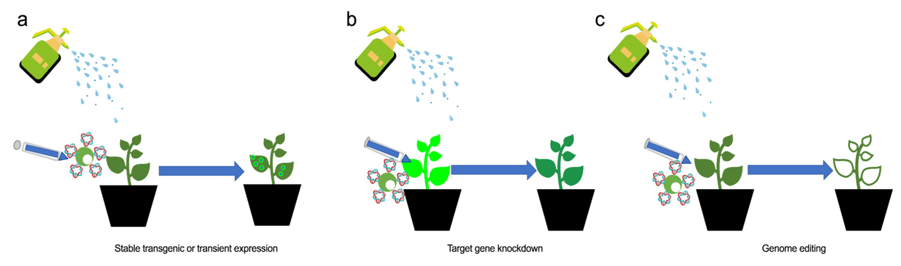 Ijms 23 08501 g002 550