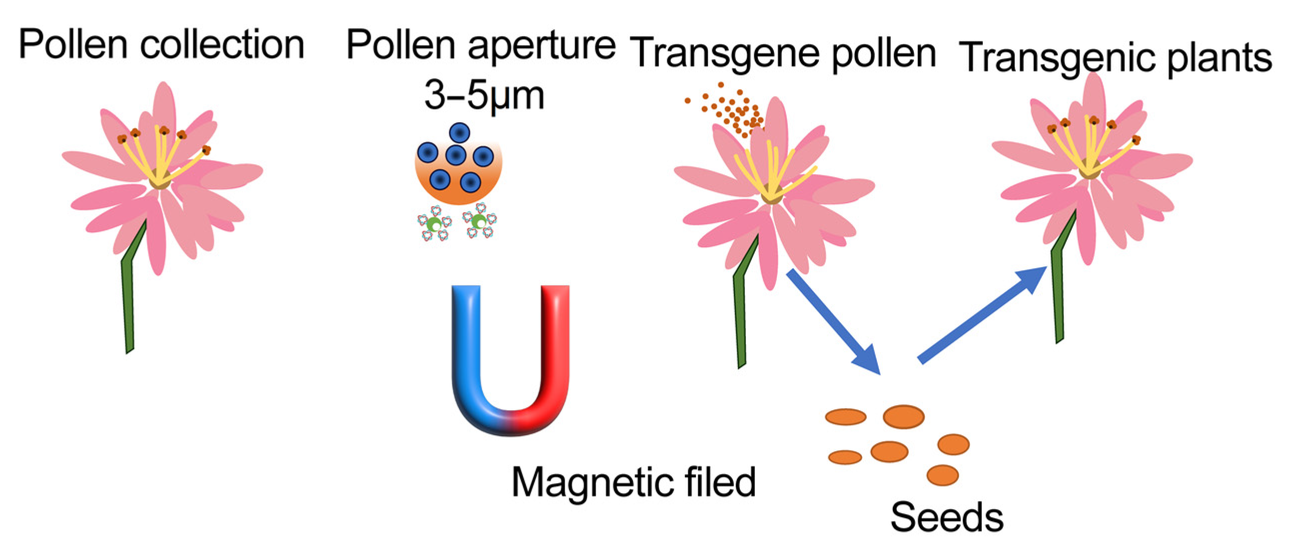 Ijms 23 08501 g003 550