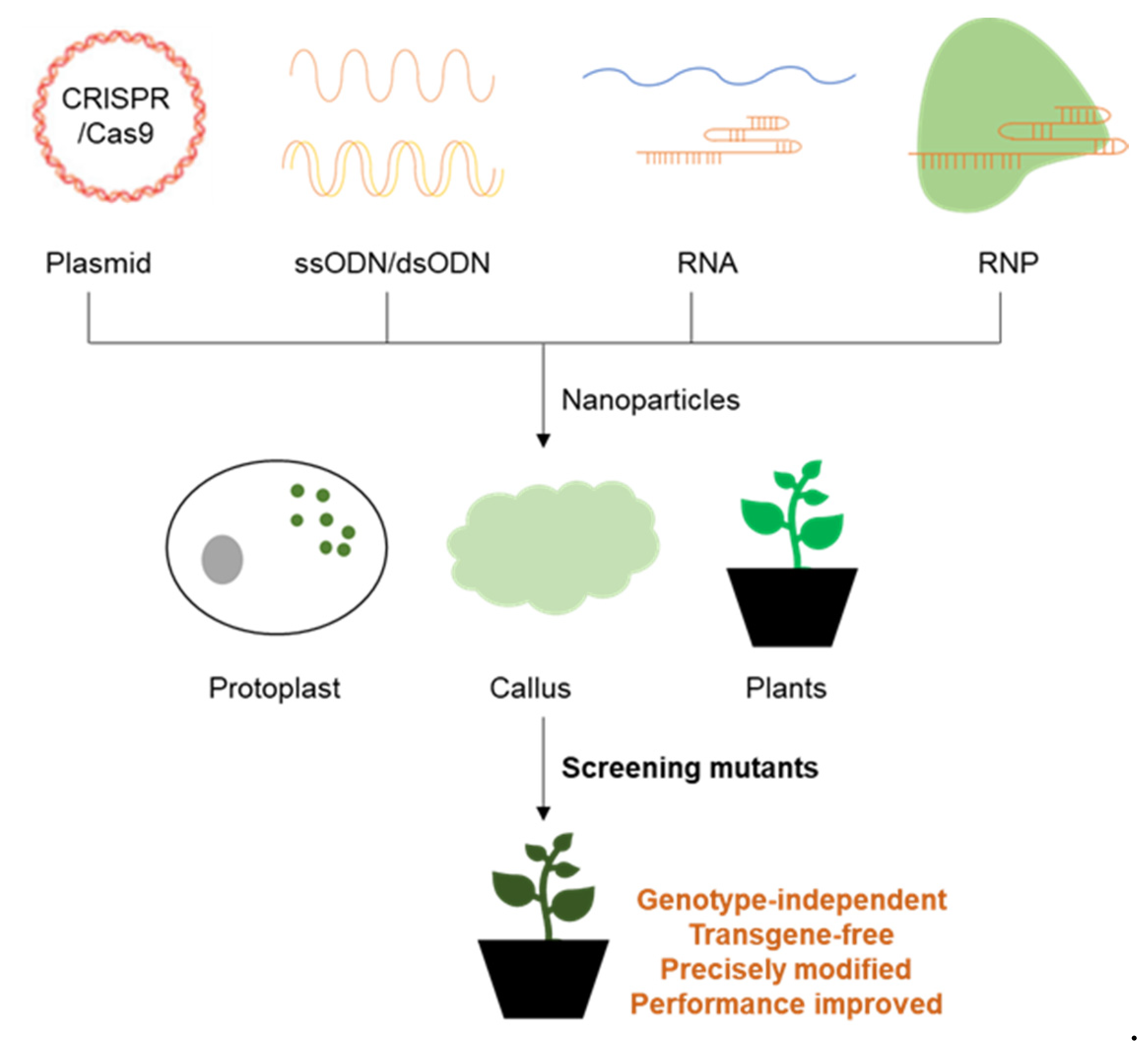 Ijms 23 08501 g004 550