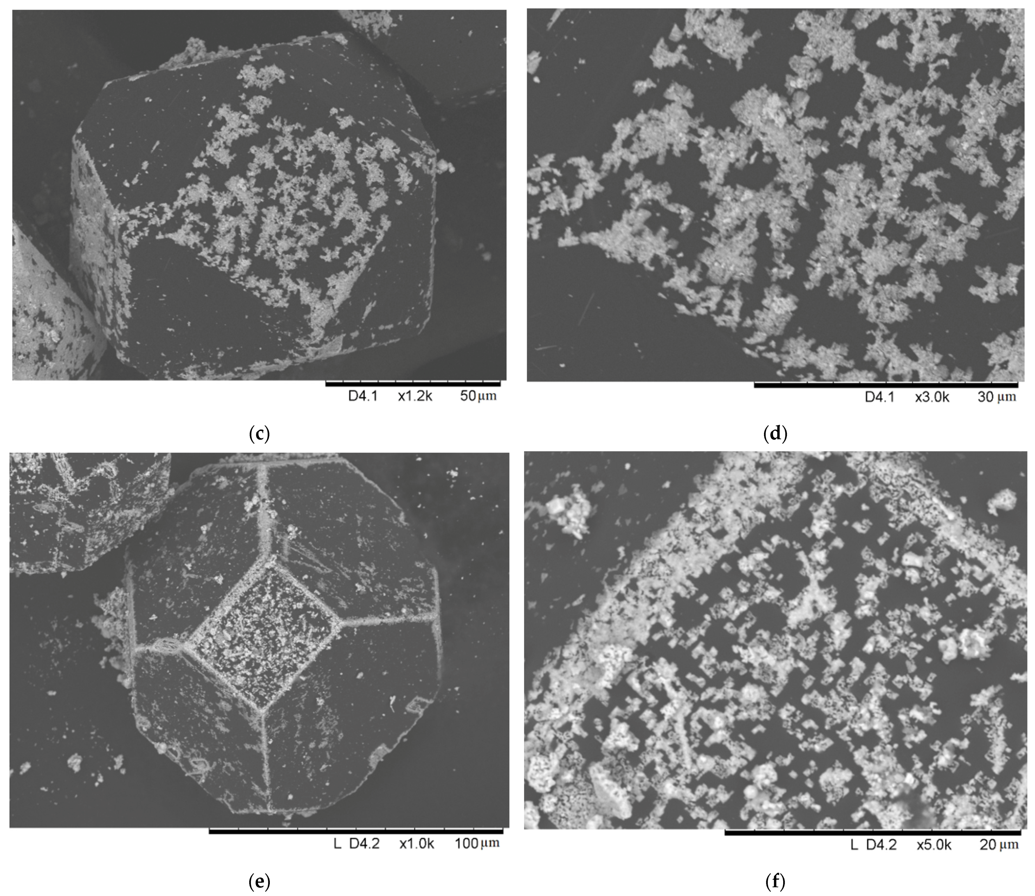 Ijms 23 08511 g001b 550