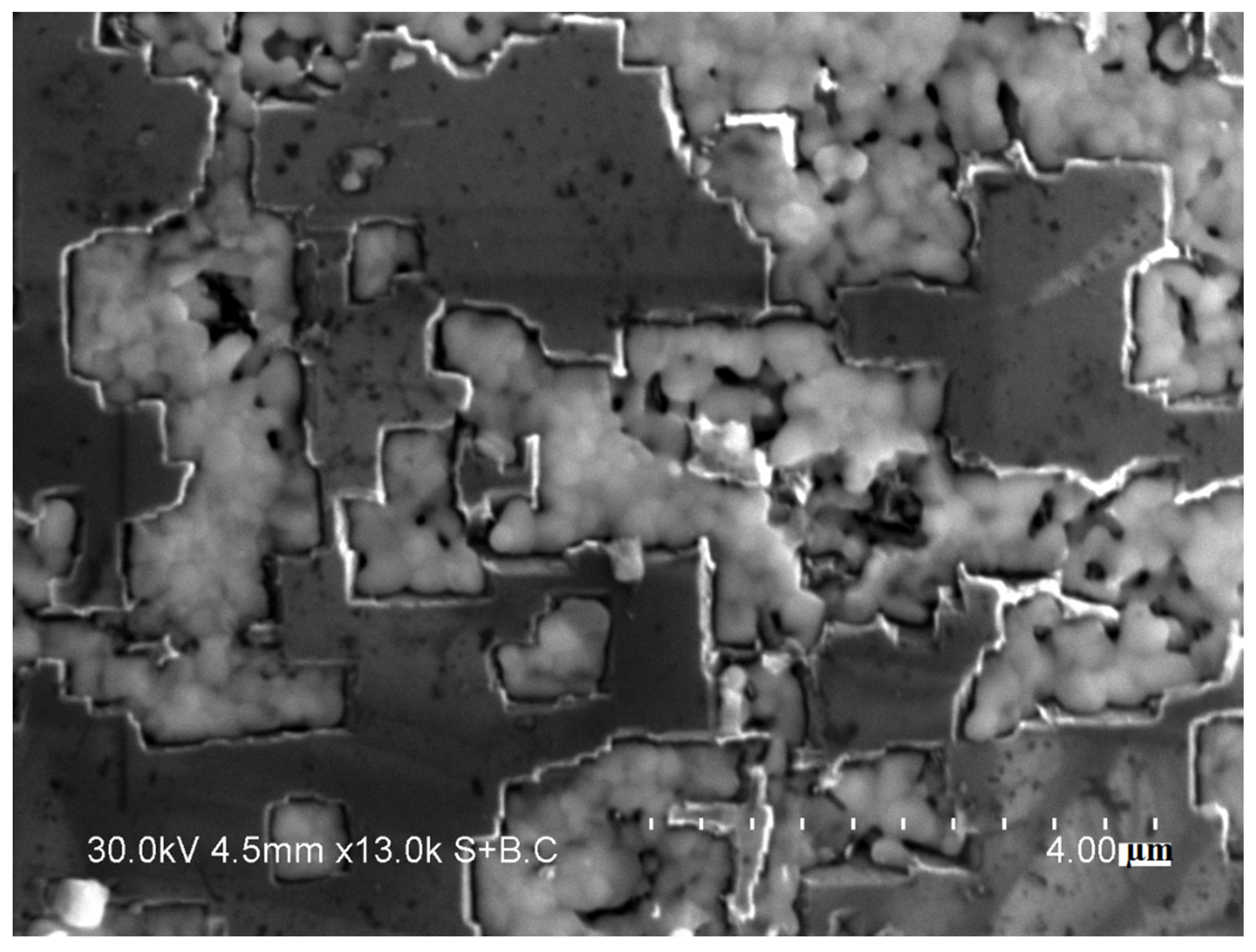 Ijms 23 08511 g002 550