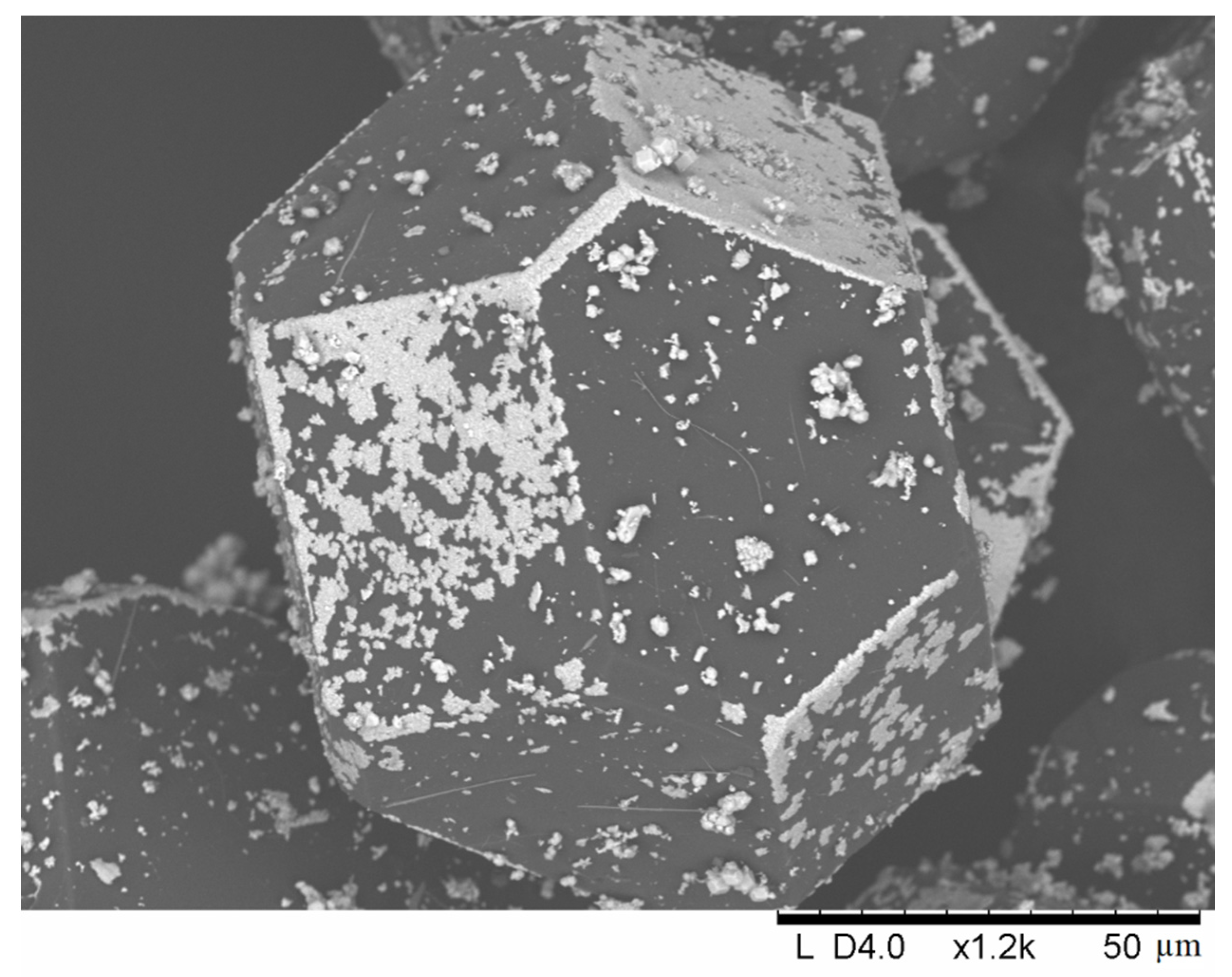 Ijms 23 08511 g006 550