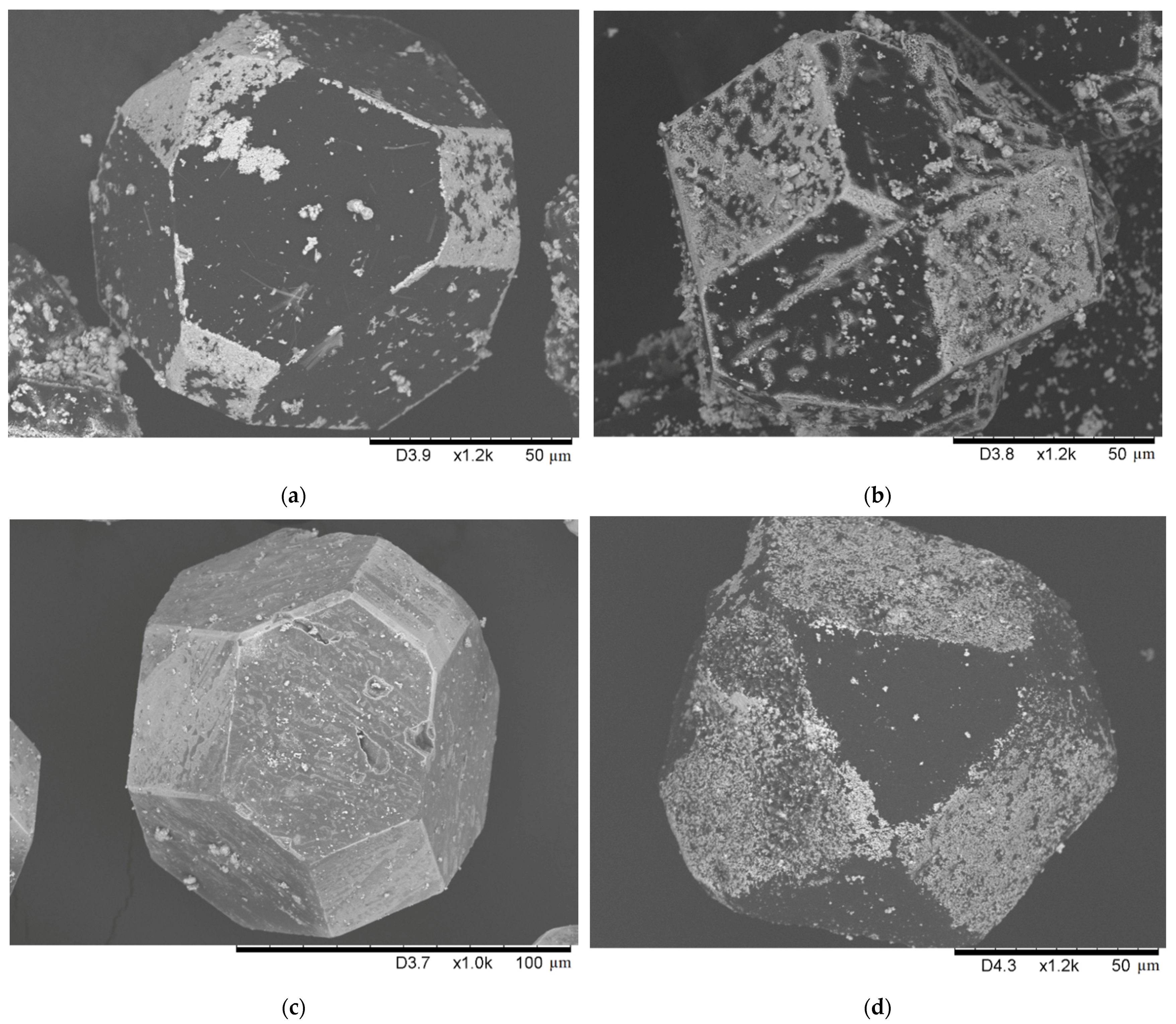 Ijms 23 08511 g008 550