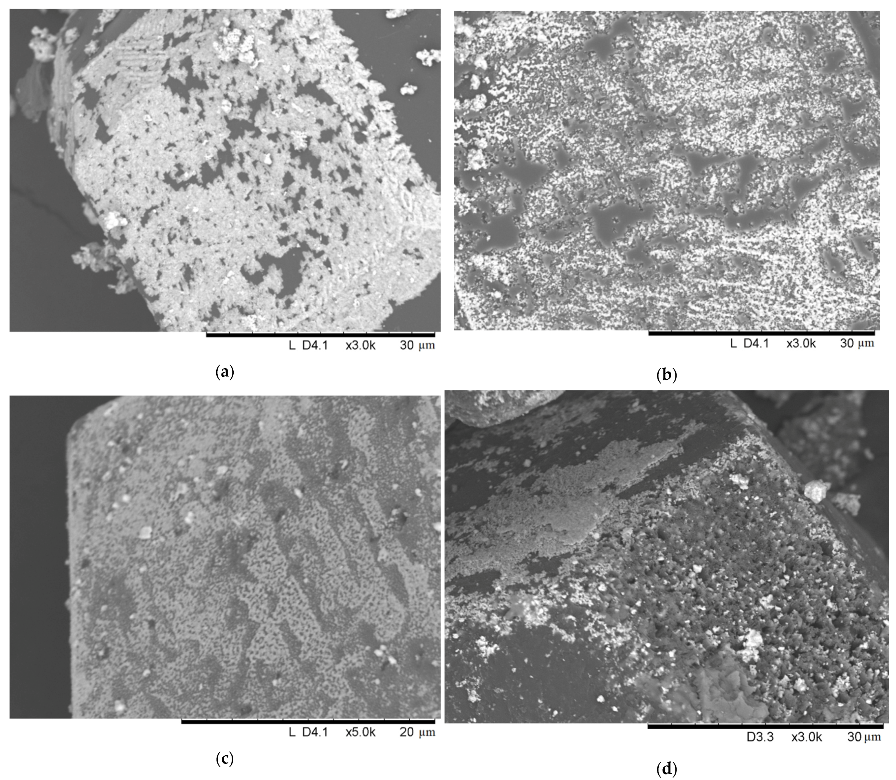 Ijms 23 08511 g009 550