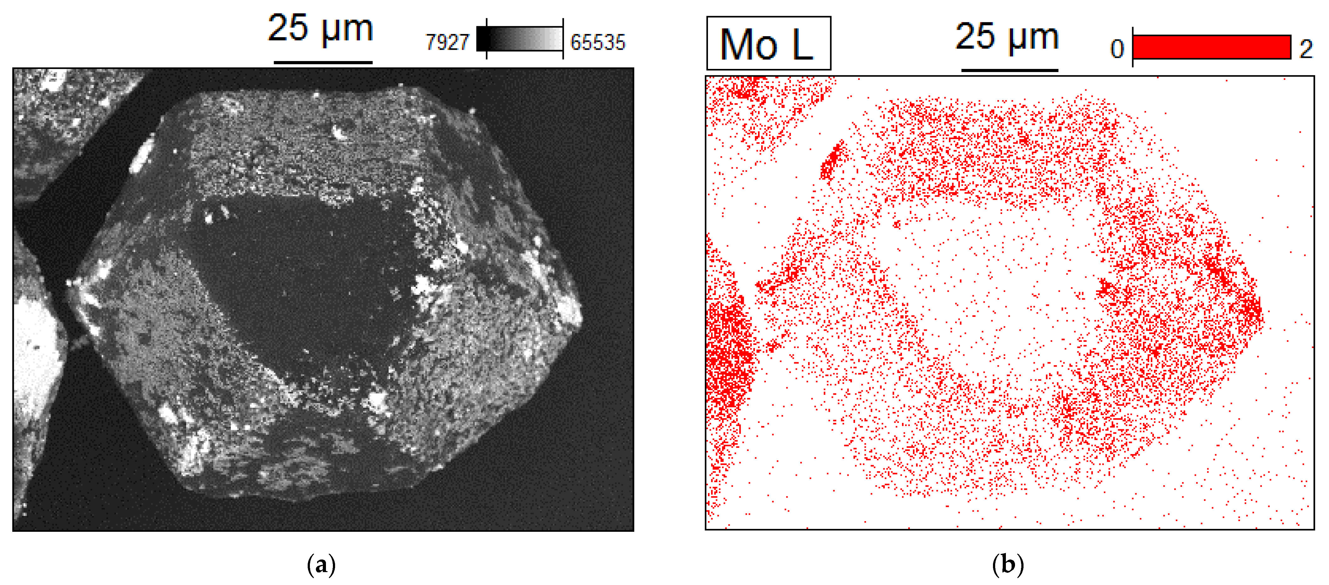 Ijms 23 08511 g011 550