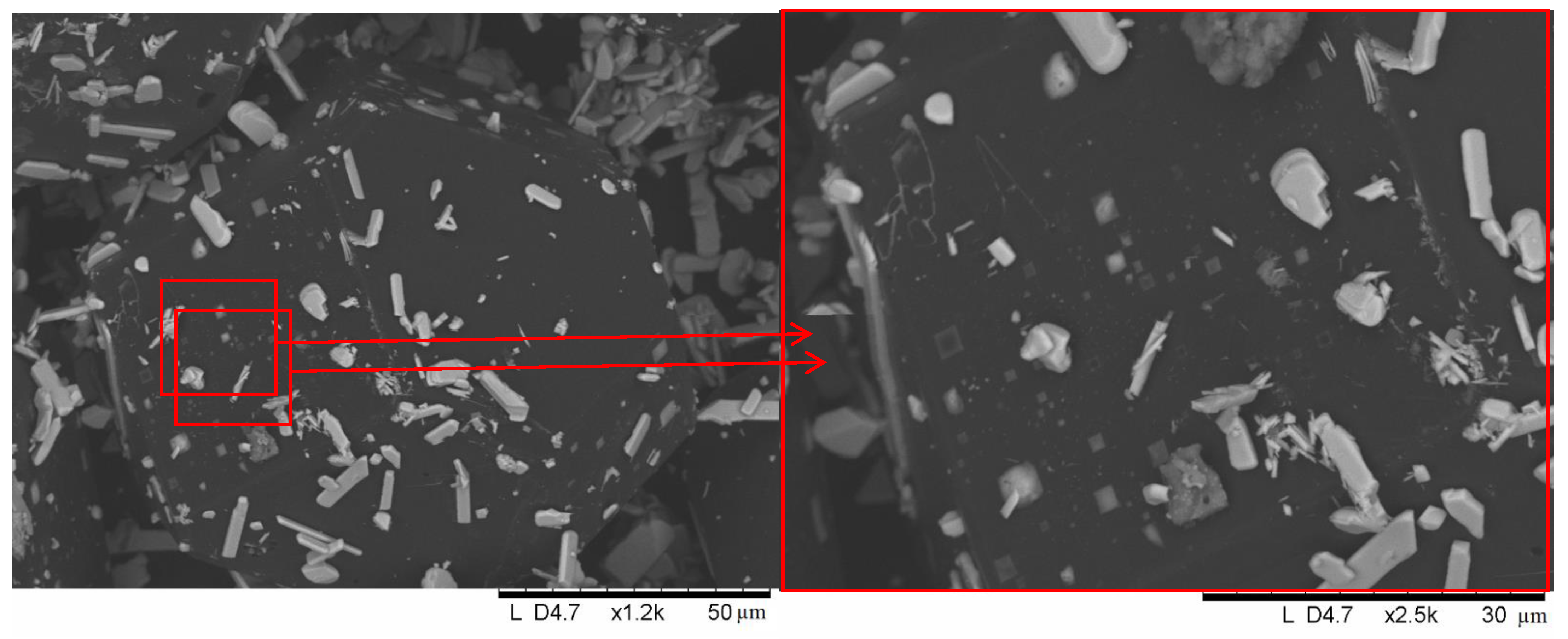 Ijms 23 08511 g013 550