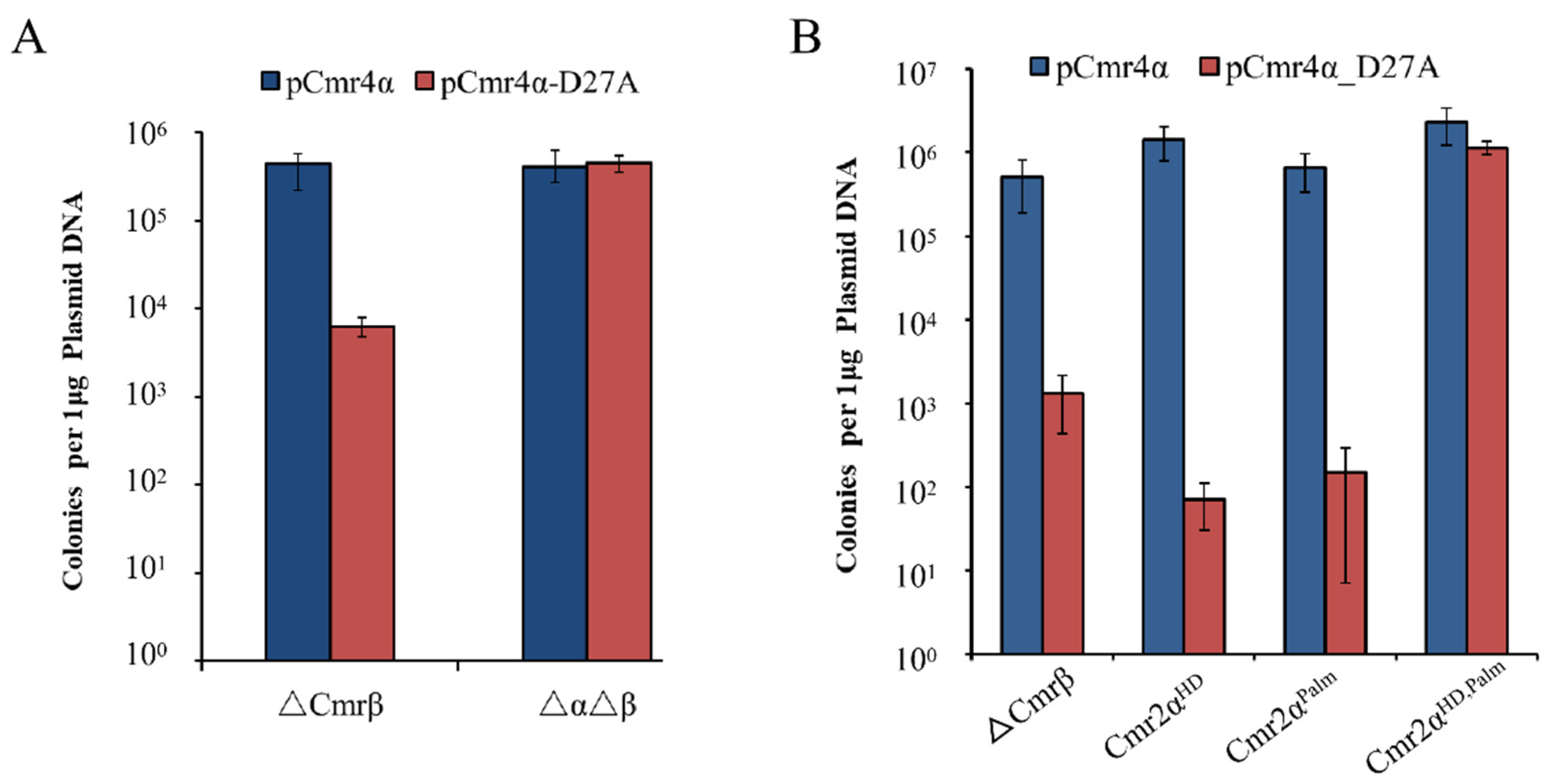 Ijms 23 08515 g001 Ijms 23 08515 g001