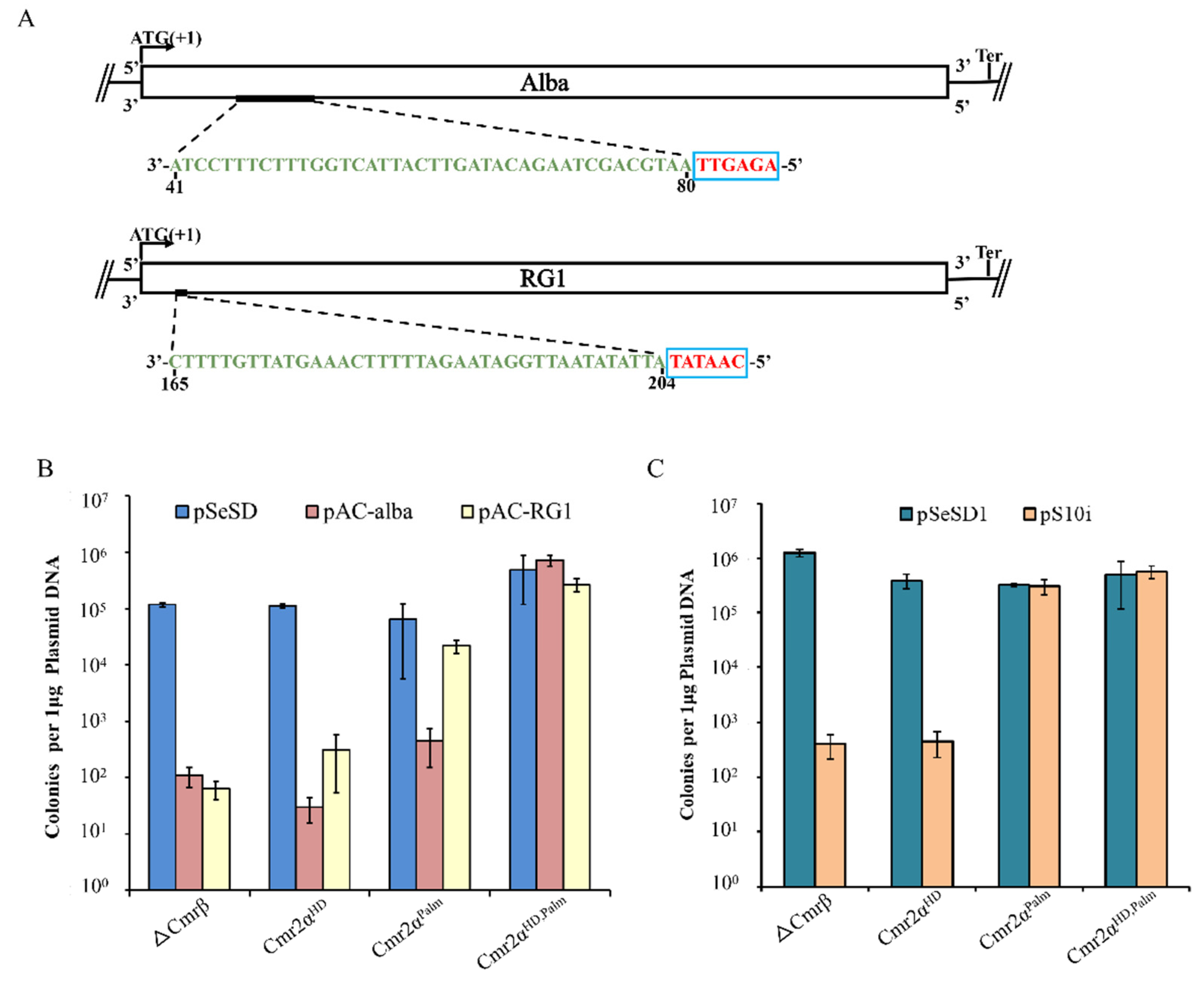 Ijms 23 08515 g002 Ijms 23 08515 g002