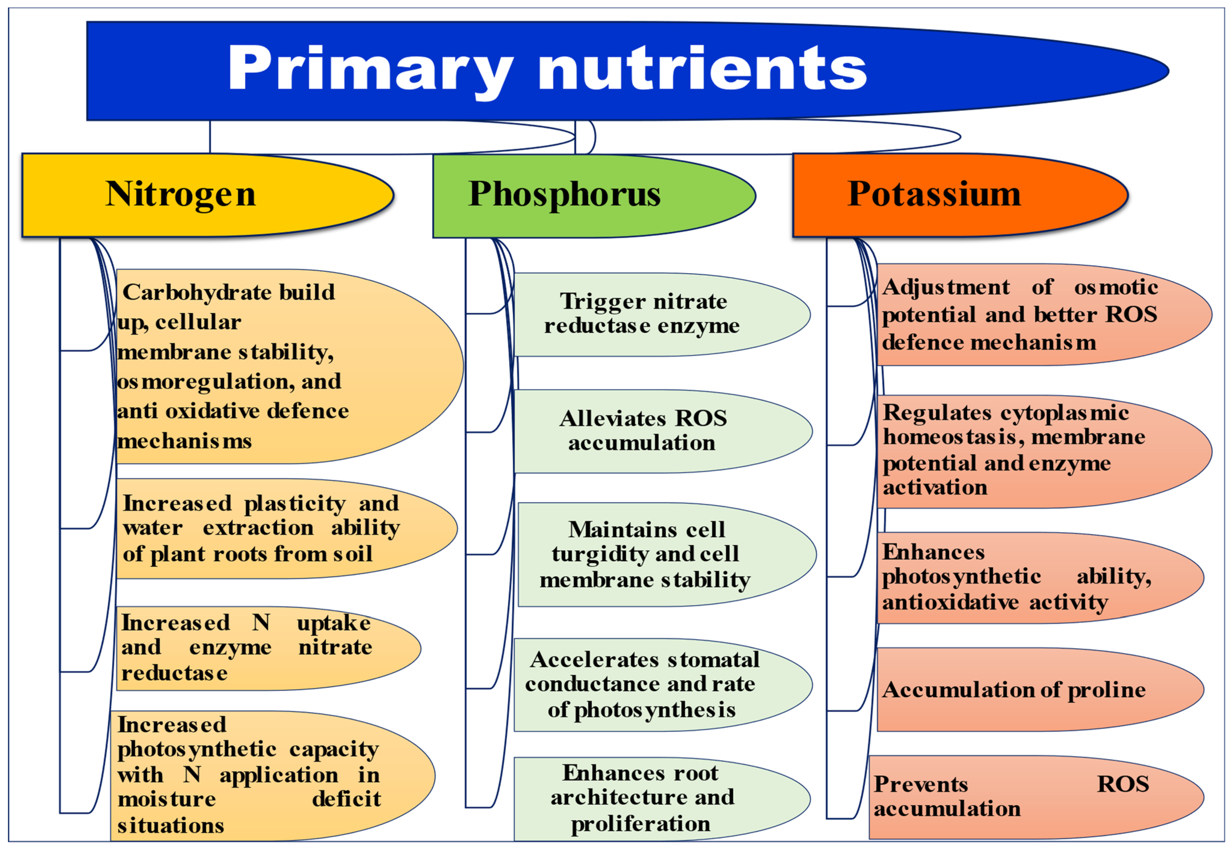 Ijms 23 08519 g002 Ijms 23 08519 g002