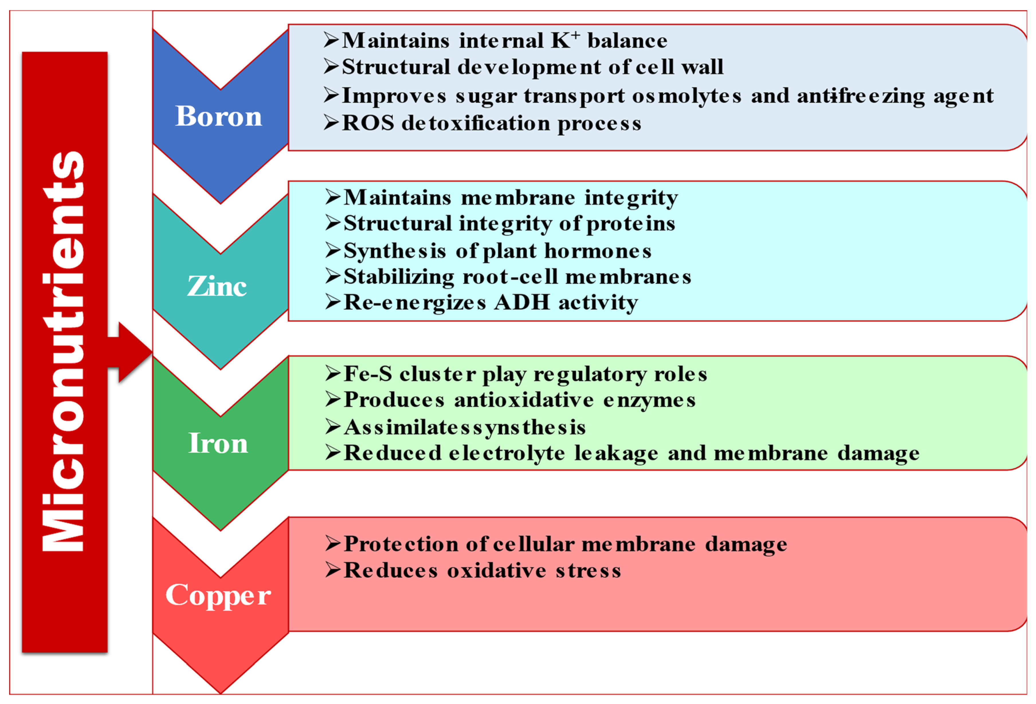 Ijms 23 08519 g004 Ijms 23 08519 g004