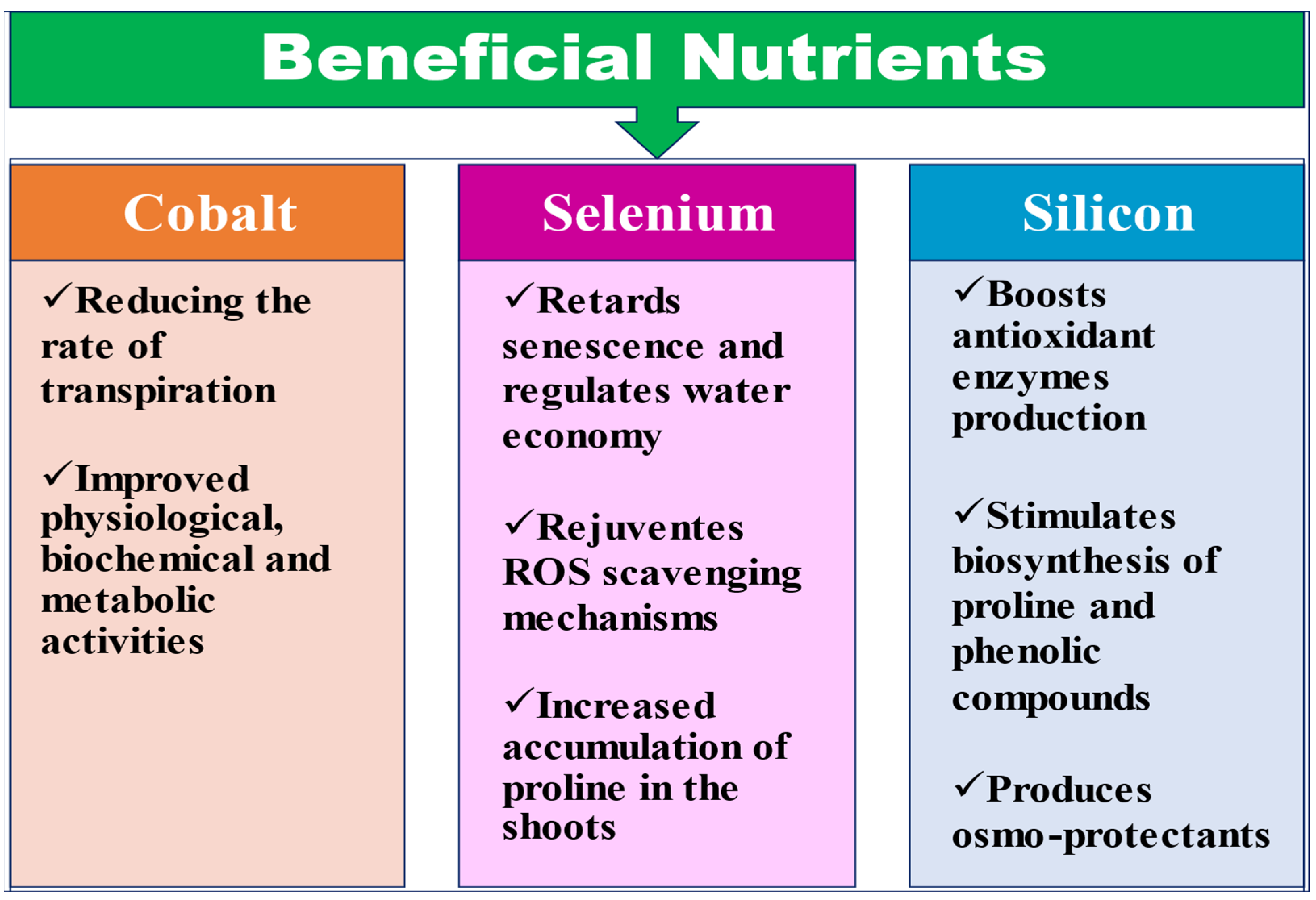 Ijms 23 08519 g005 Ijms 23 08519 g005