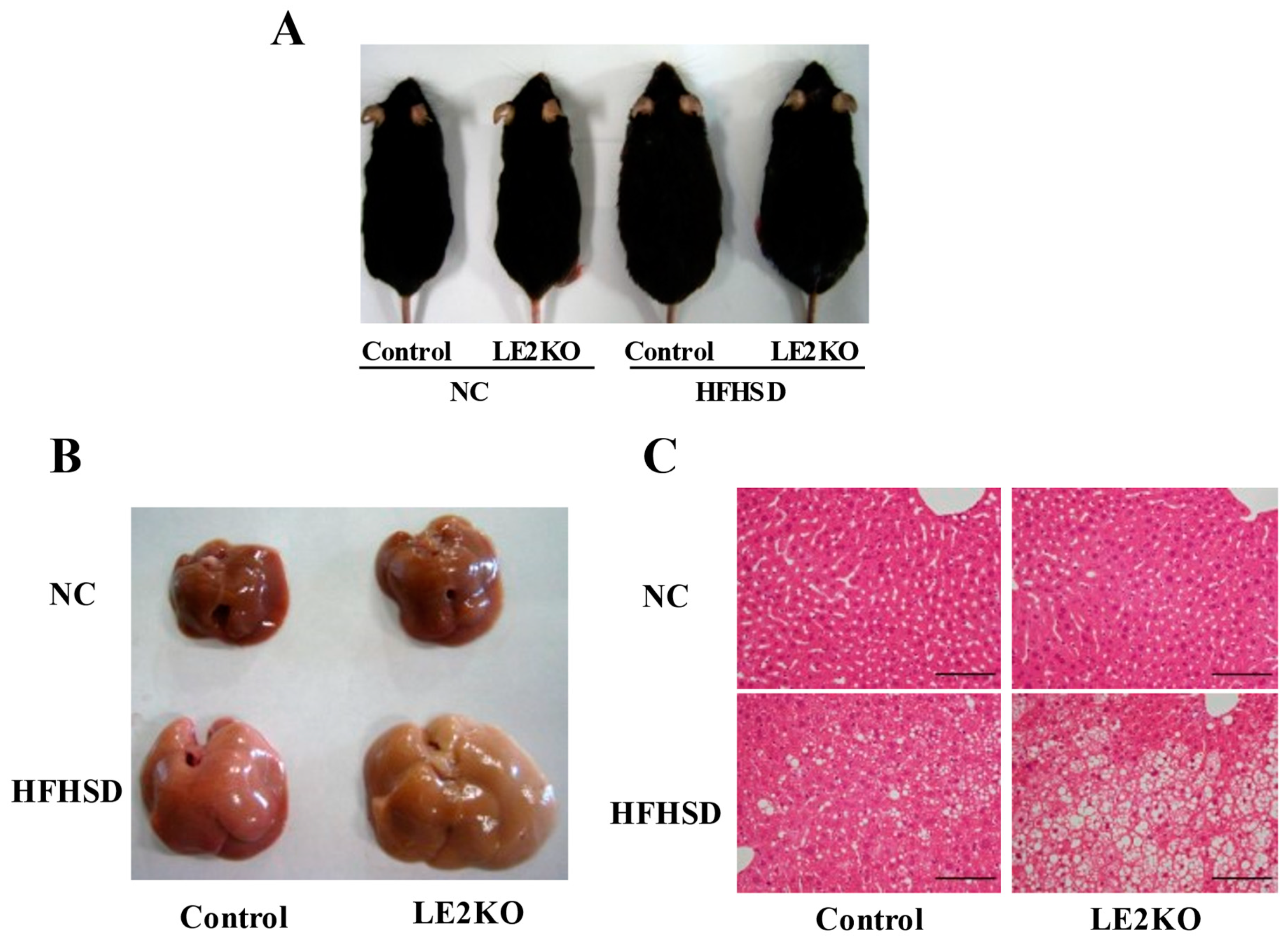 Ijms 23 08521 g001 550