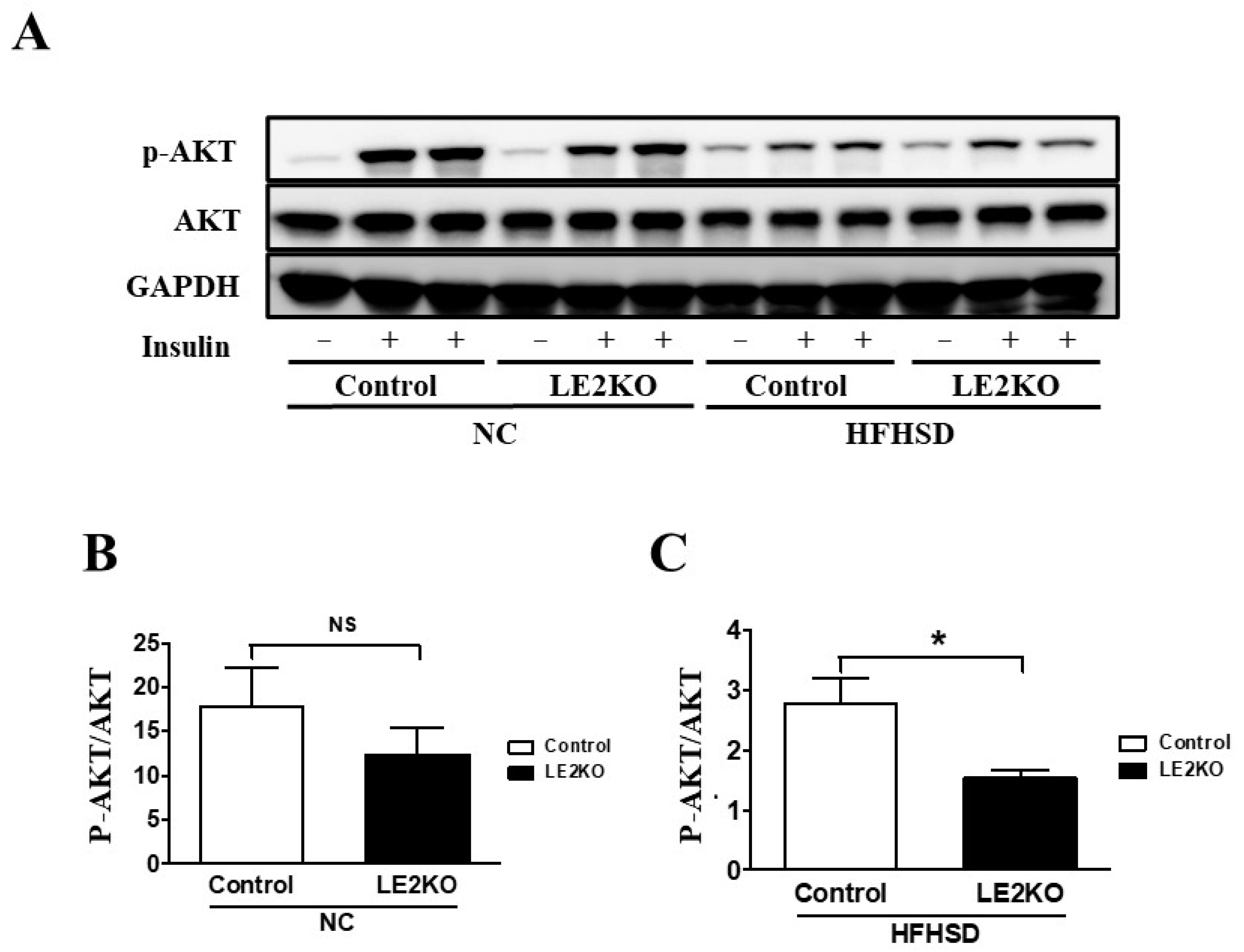 Ijms 23 08521 g003 550