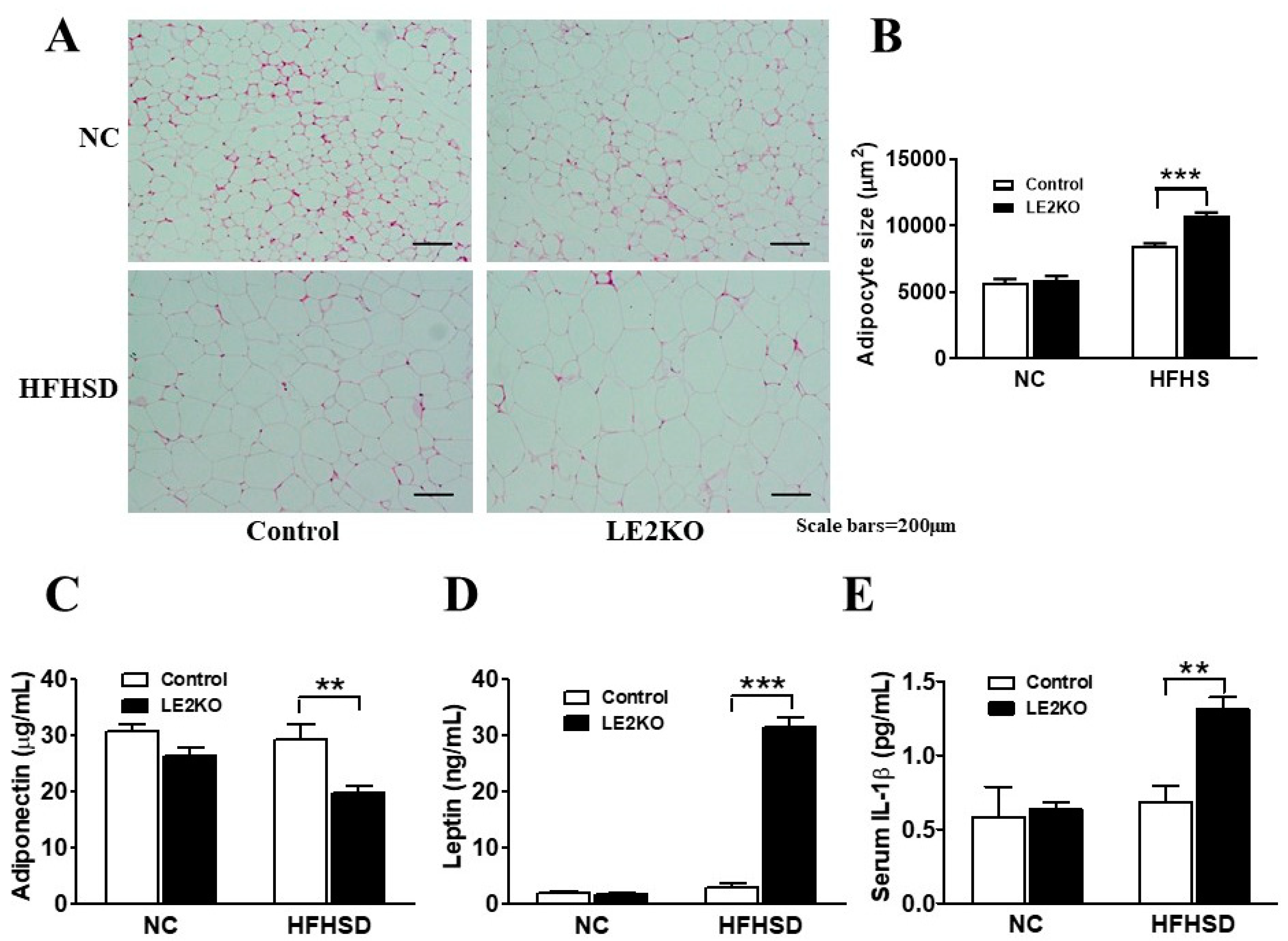 Ijms 23 08521 g004 550