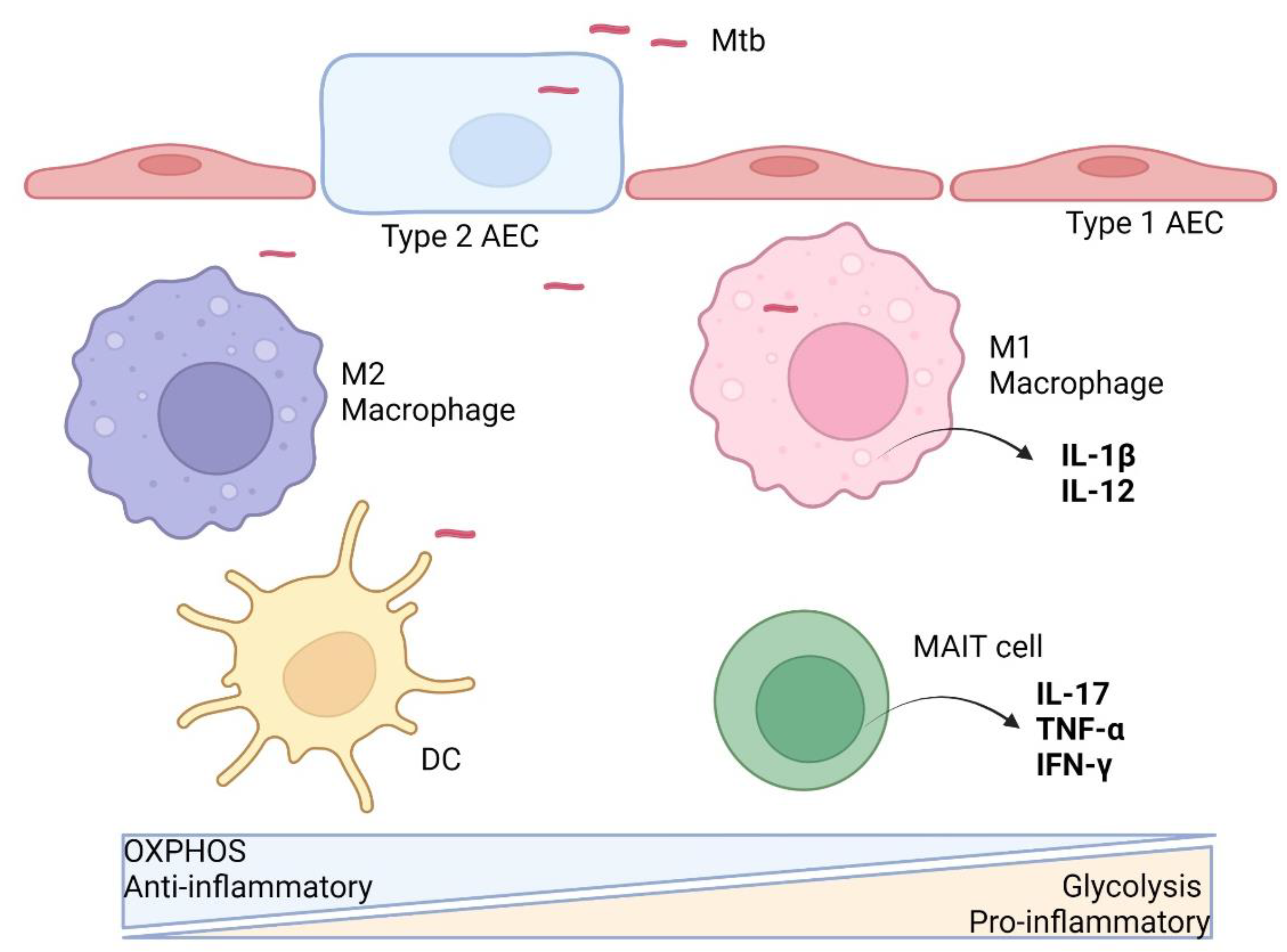 Ijms 23 08531 g001 550