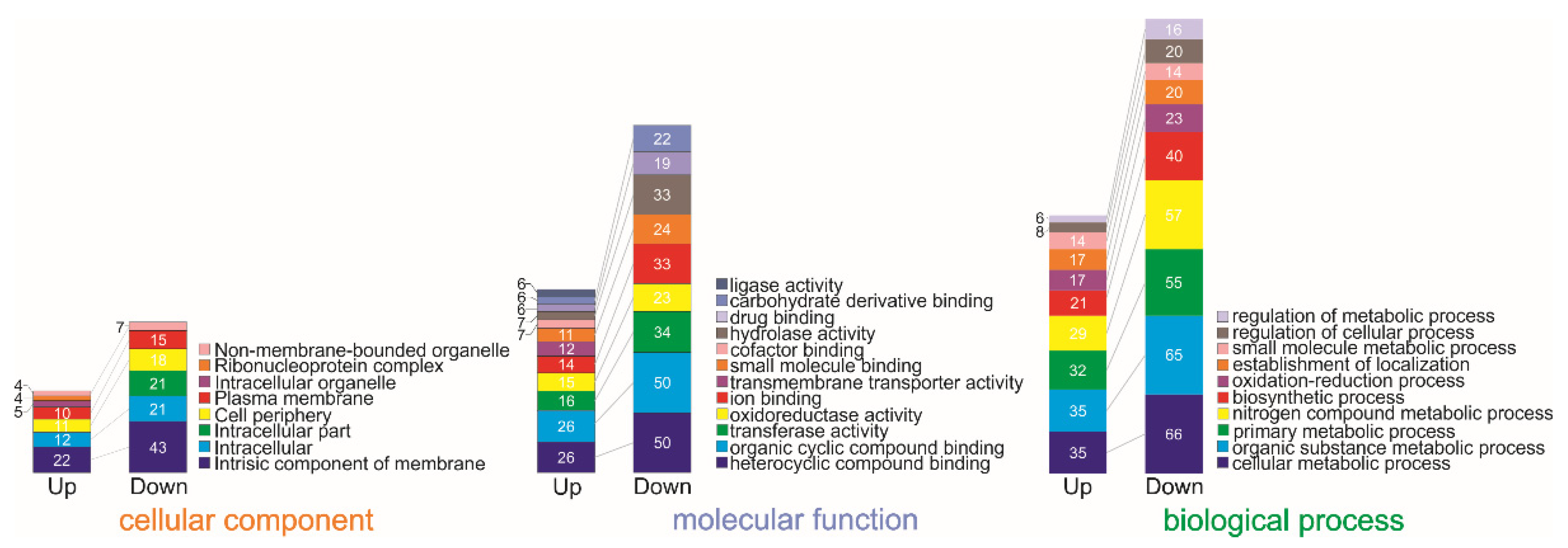 Ijms 23 08533 g001 Ijms 23 08533 g001