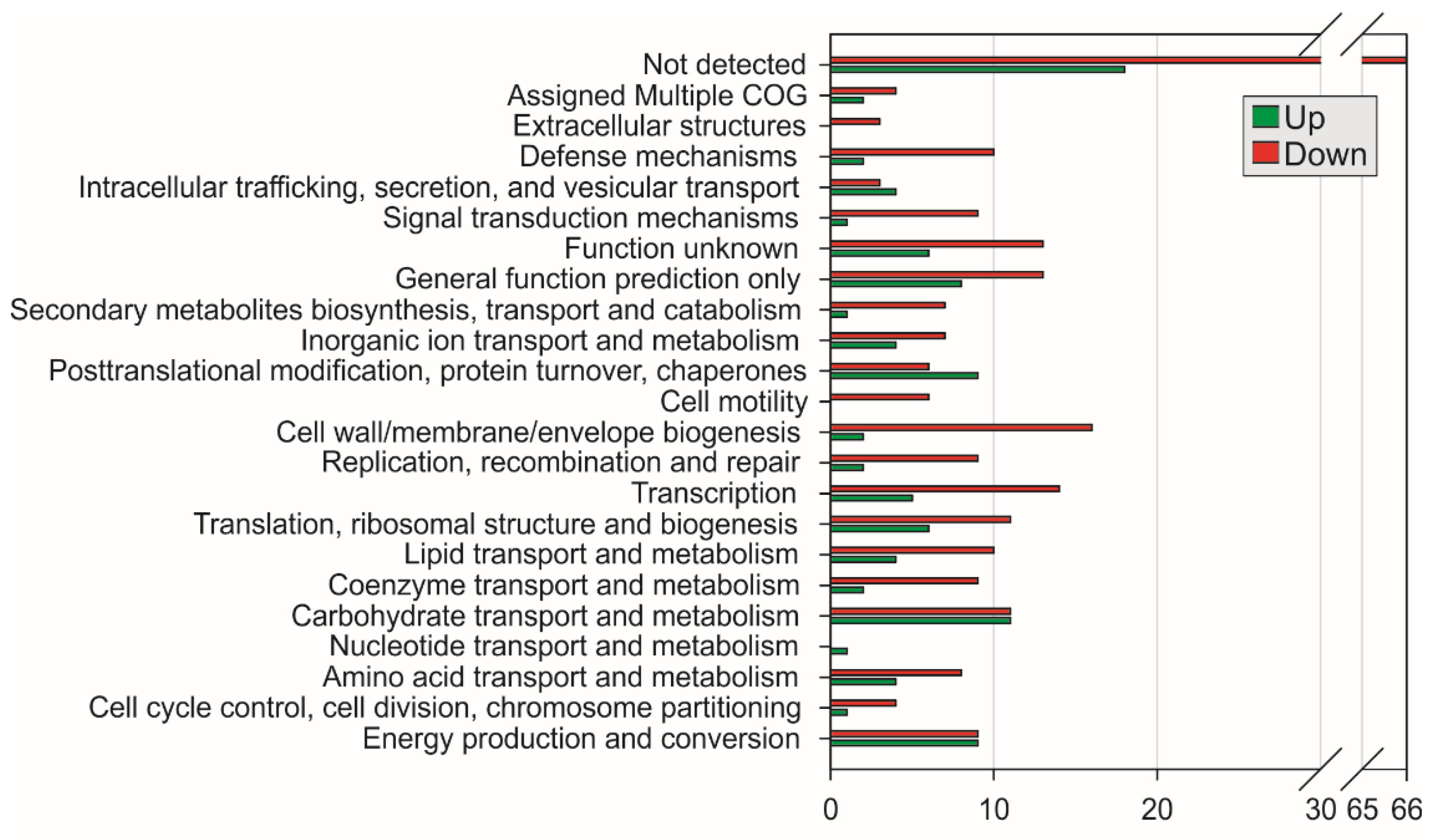 Ijms 23 08533 g002 Ijms 23 08533 g002