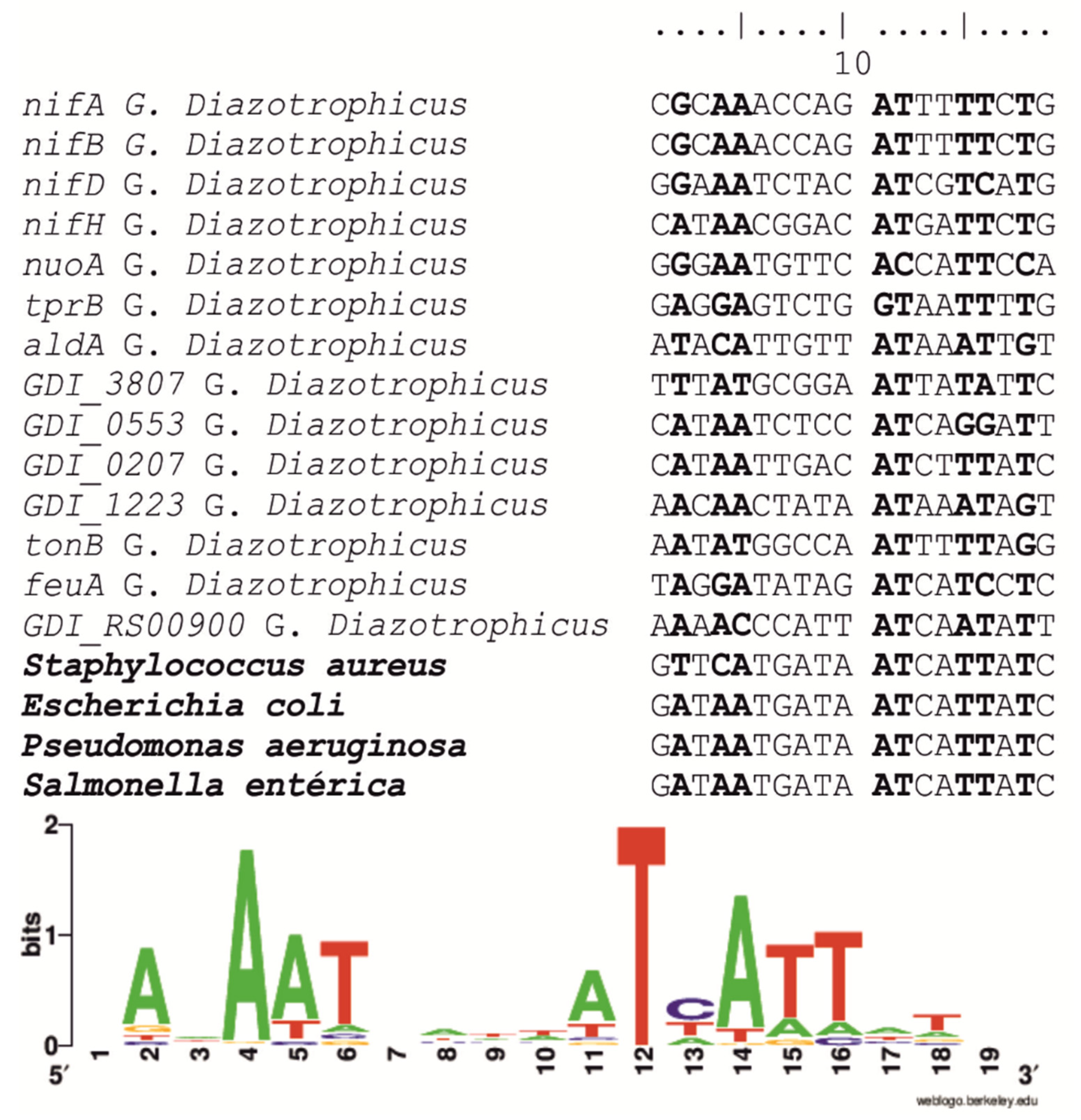 Ijms 23 08533 g005 Ijms 23 08533 g005