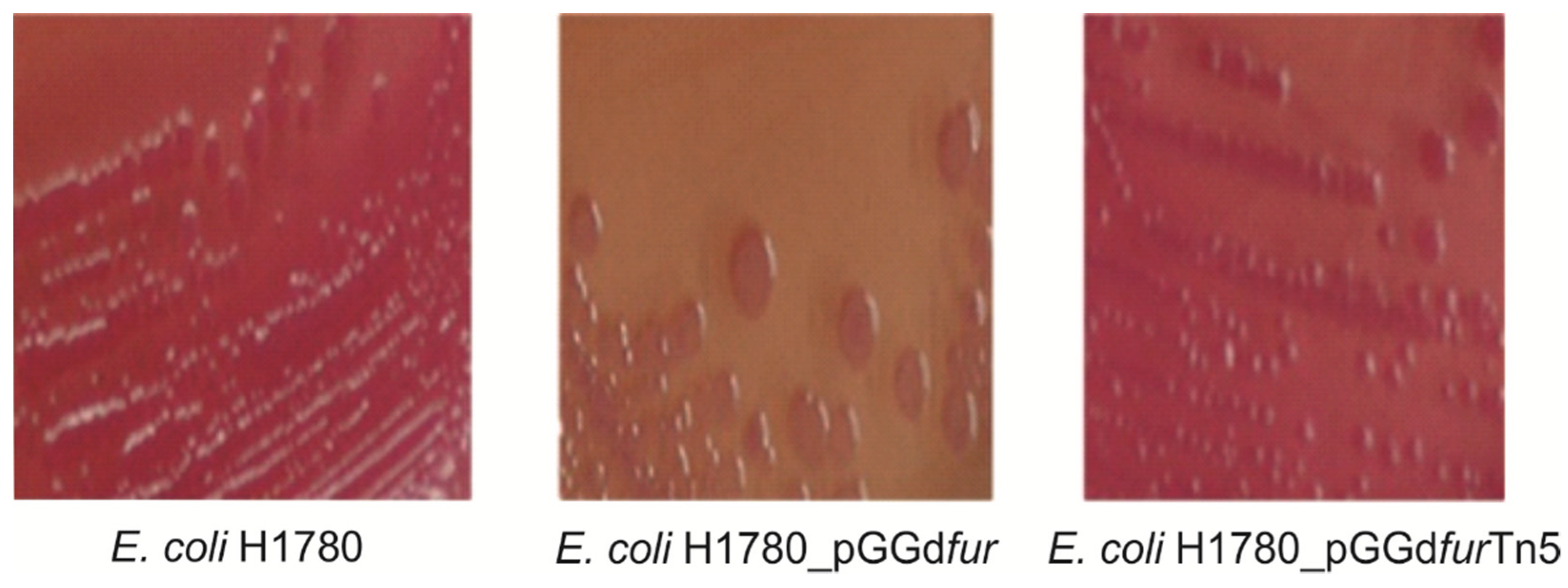 Ijms 23 08533 g008 Ijms 23 08533 g008