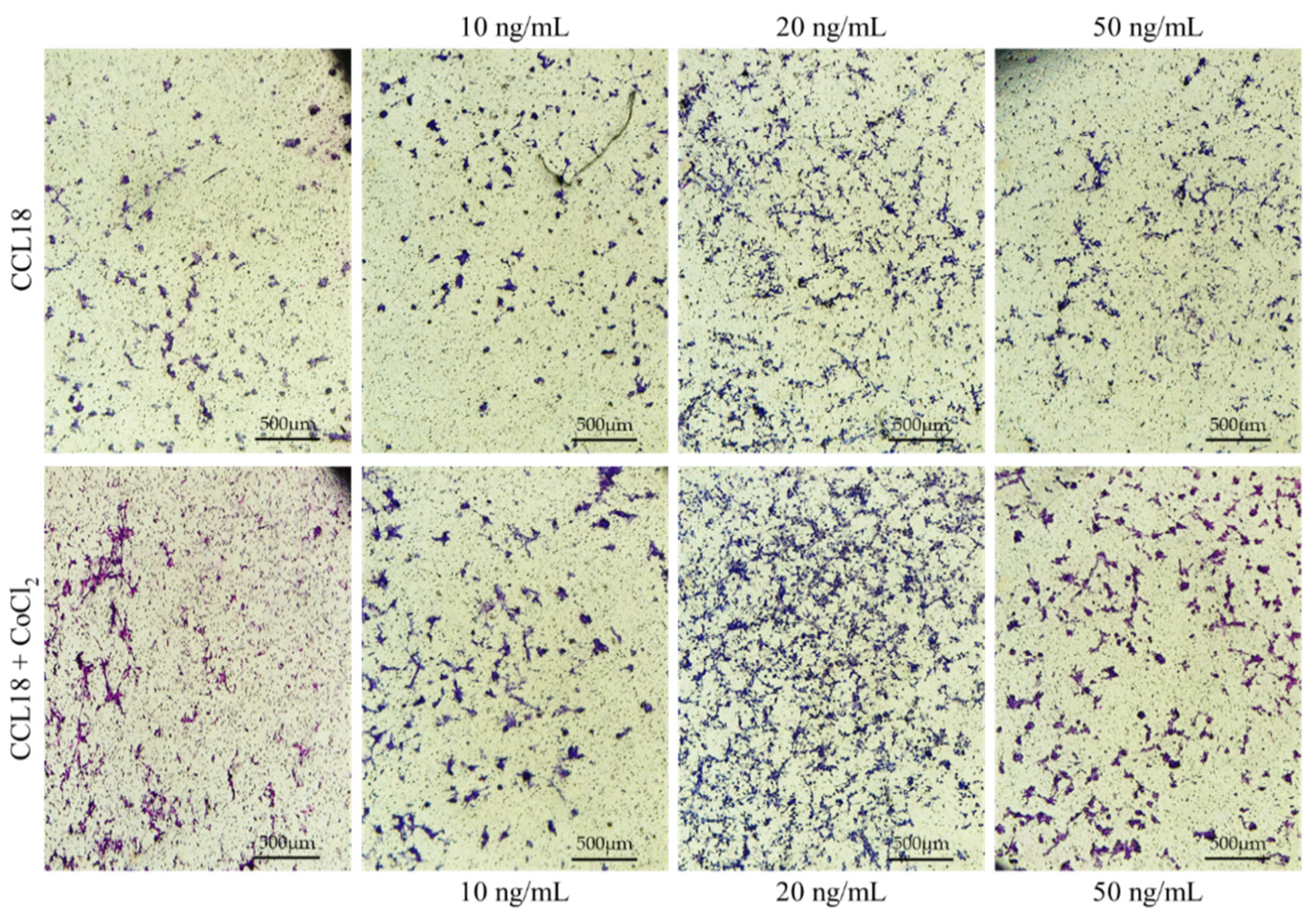 Ijms 23 08536 g006 550