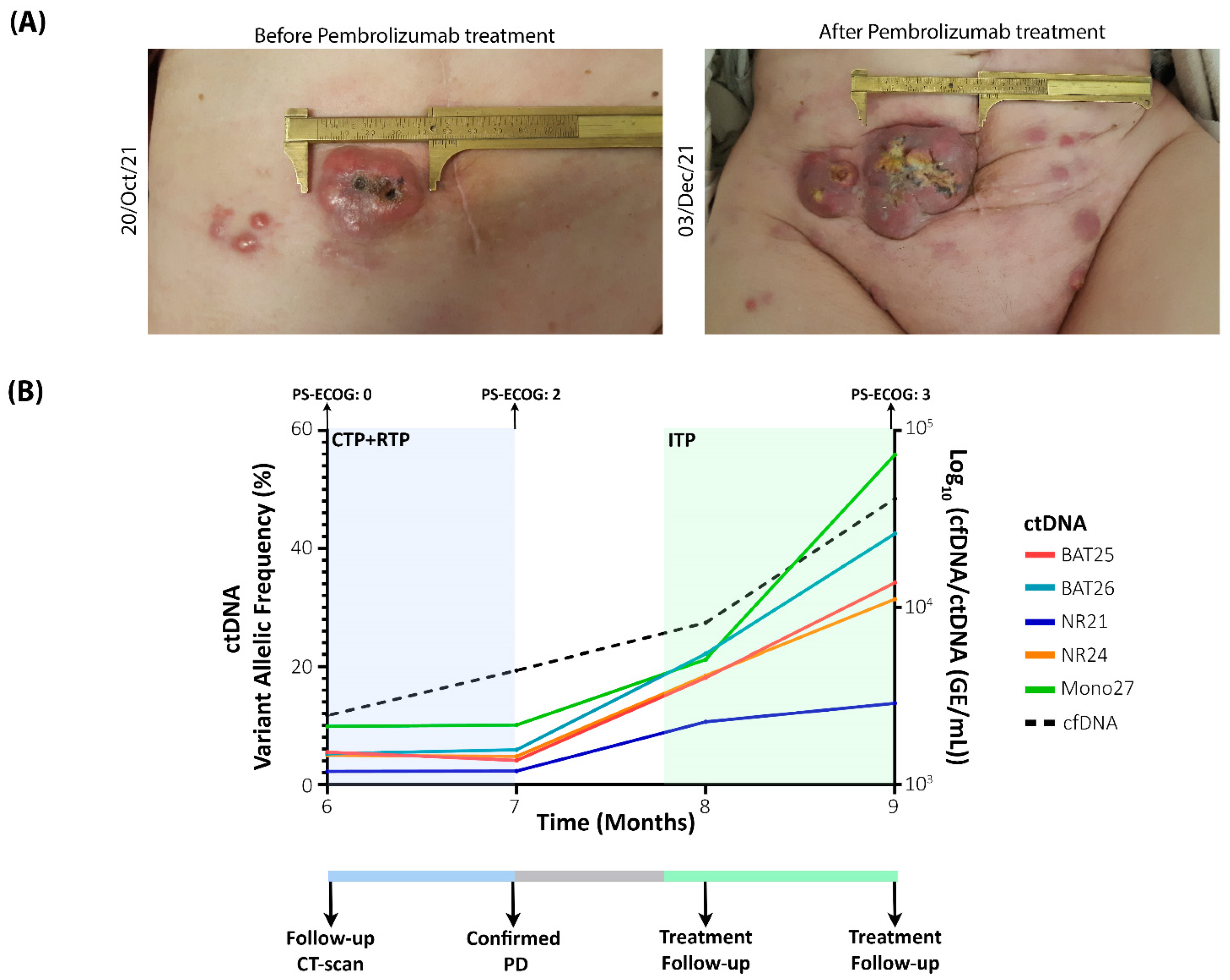 Ijms 23 08539 g001 550