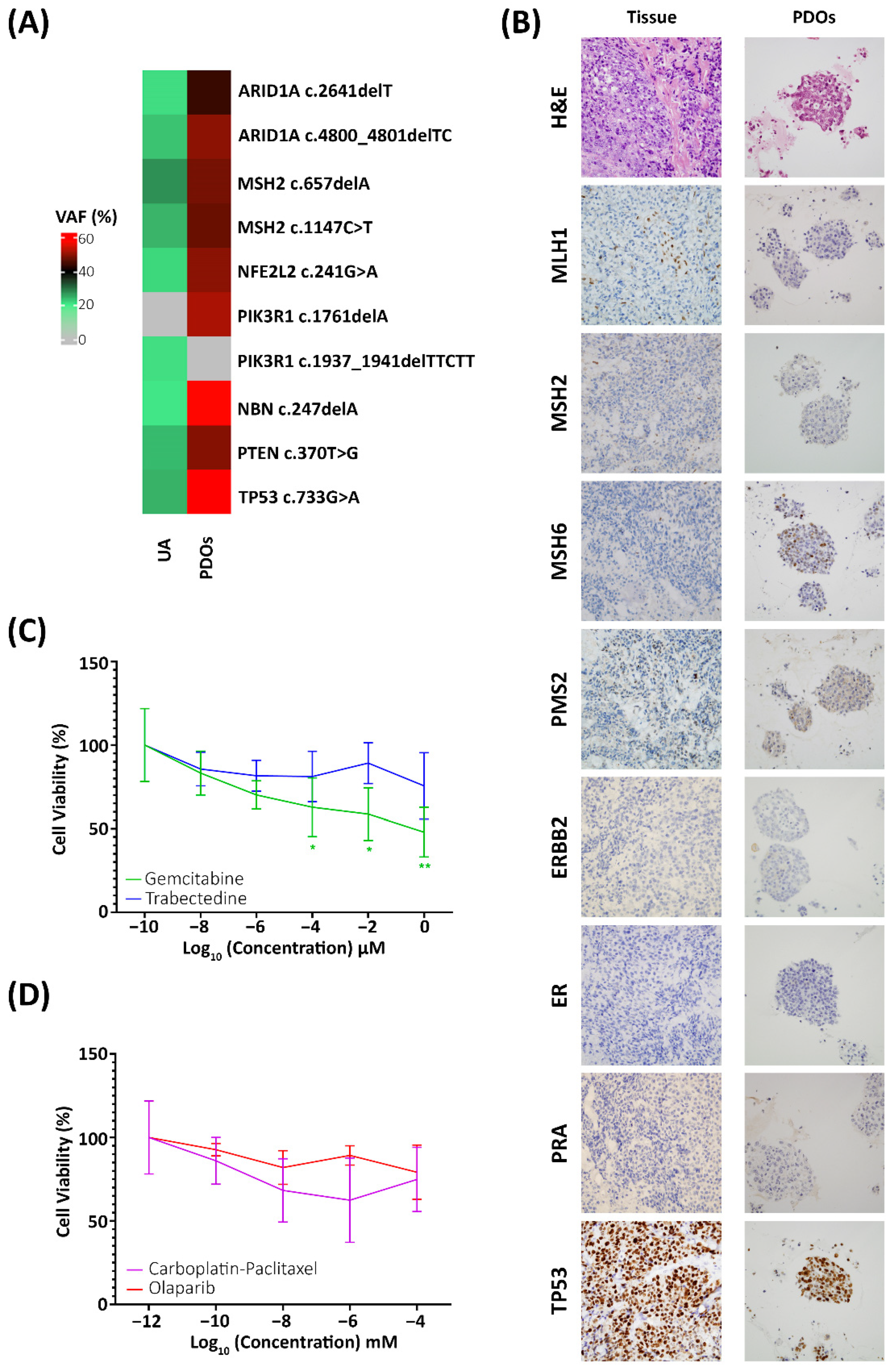 Ijms 23 08539 g002 550