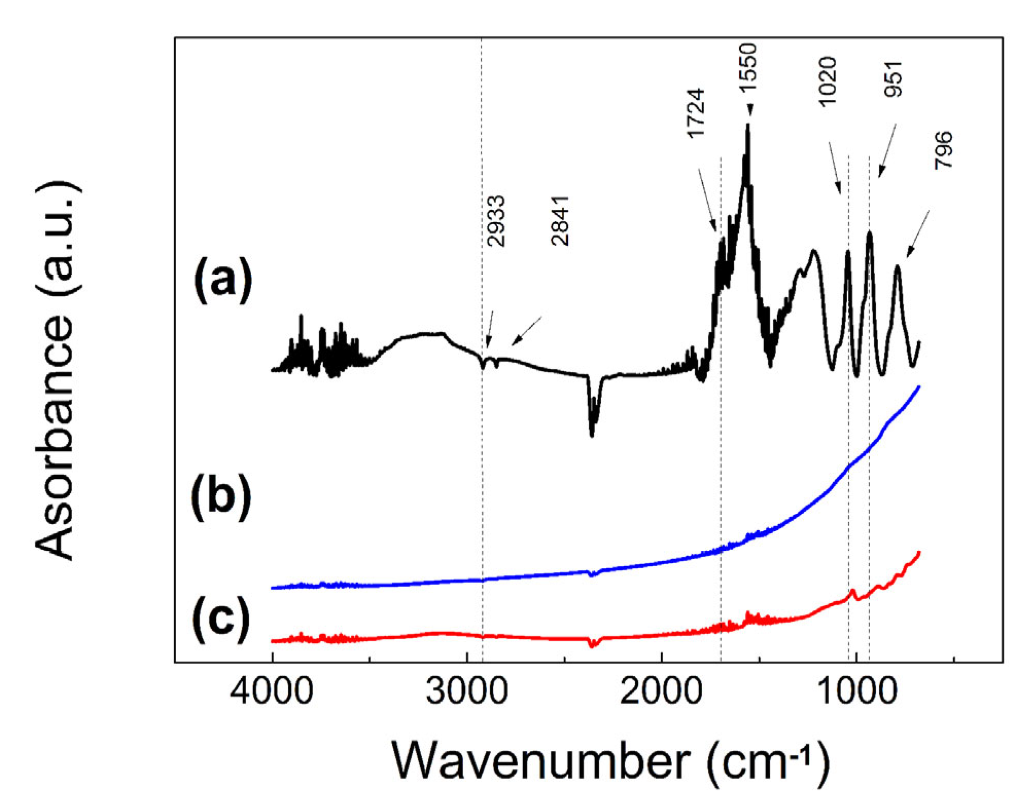 Ijms 23 08540 g003 550