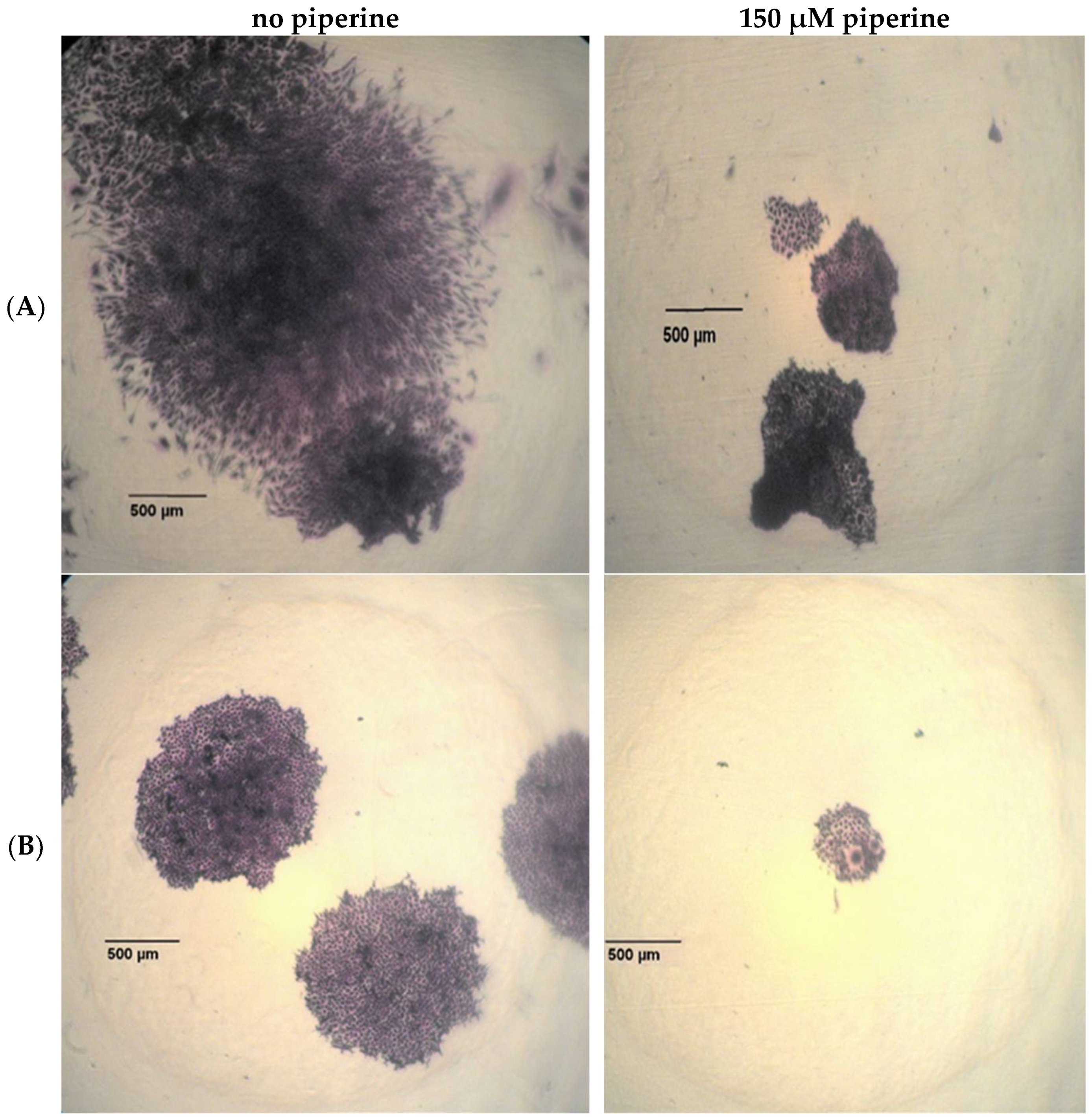 Ijms 23 08548 g003 550