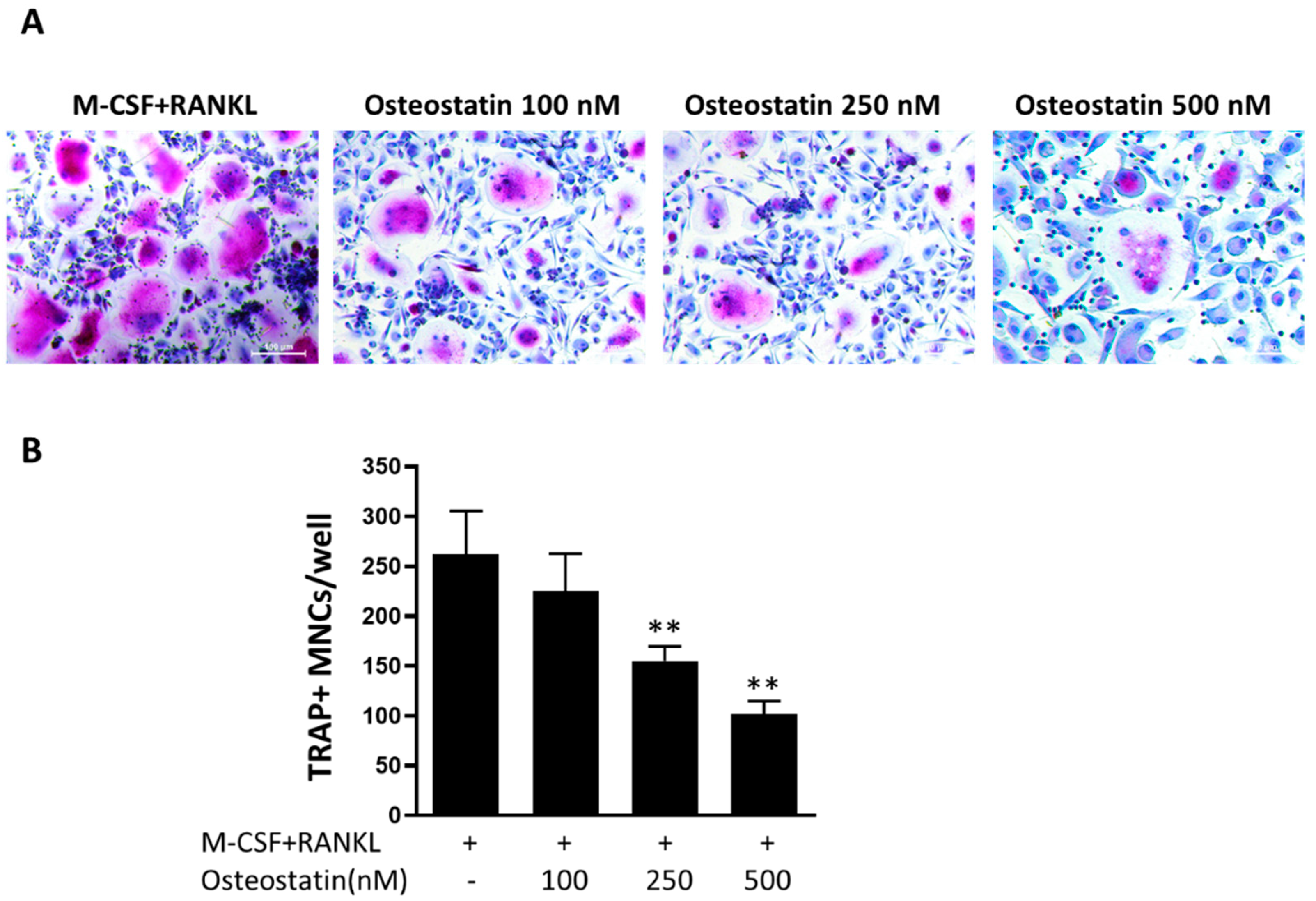 Ijms 23 08551 g001 550