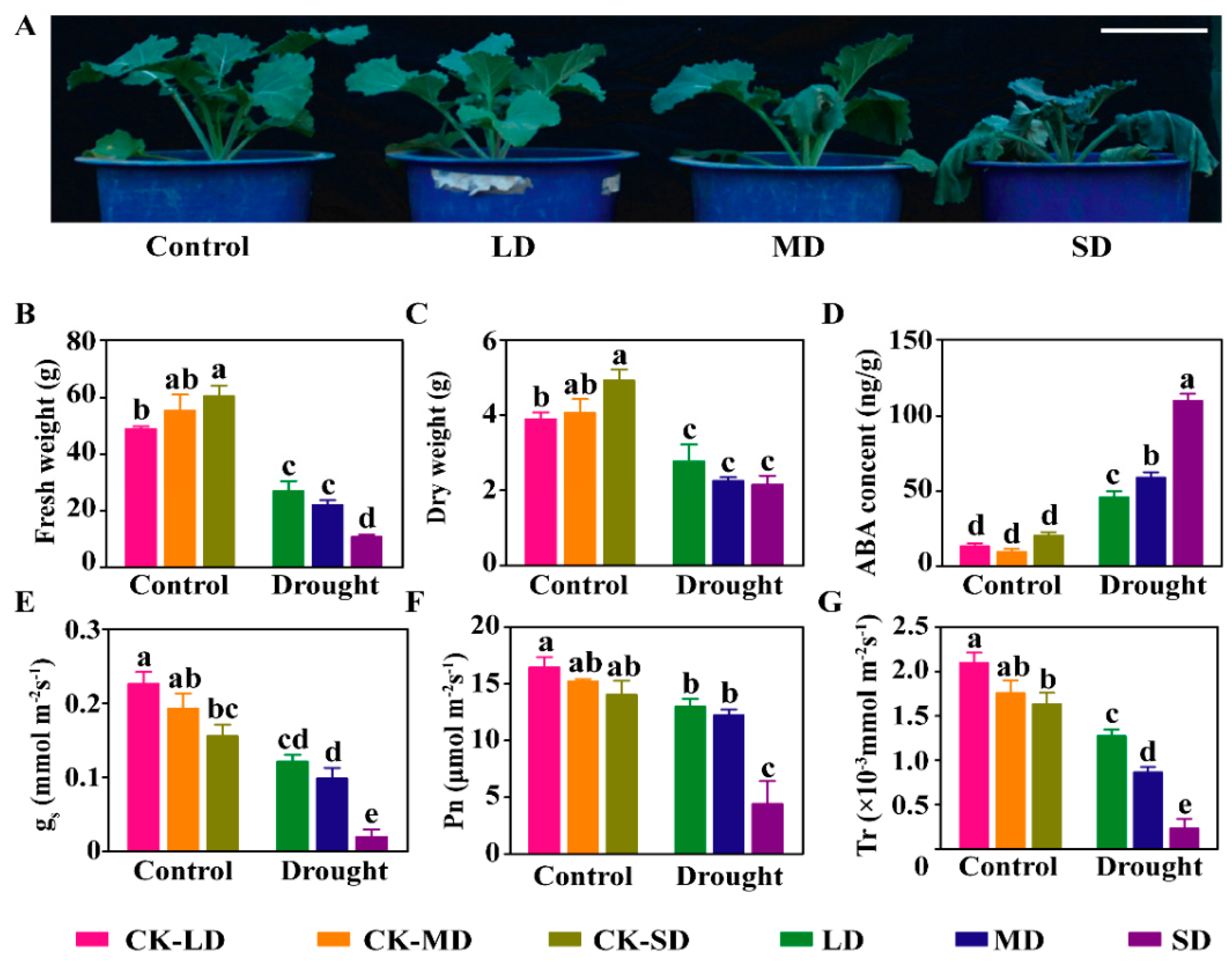 Ijms 23 08555 g001 550